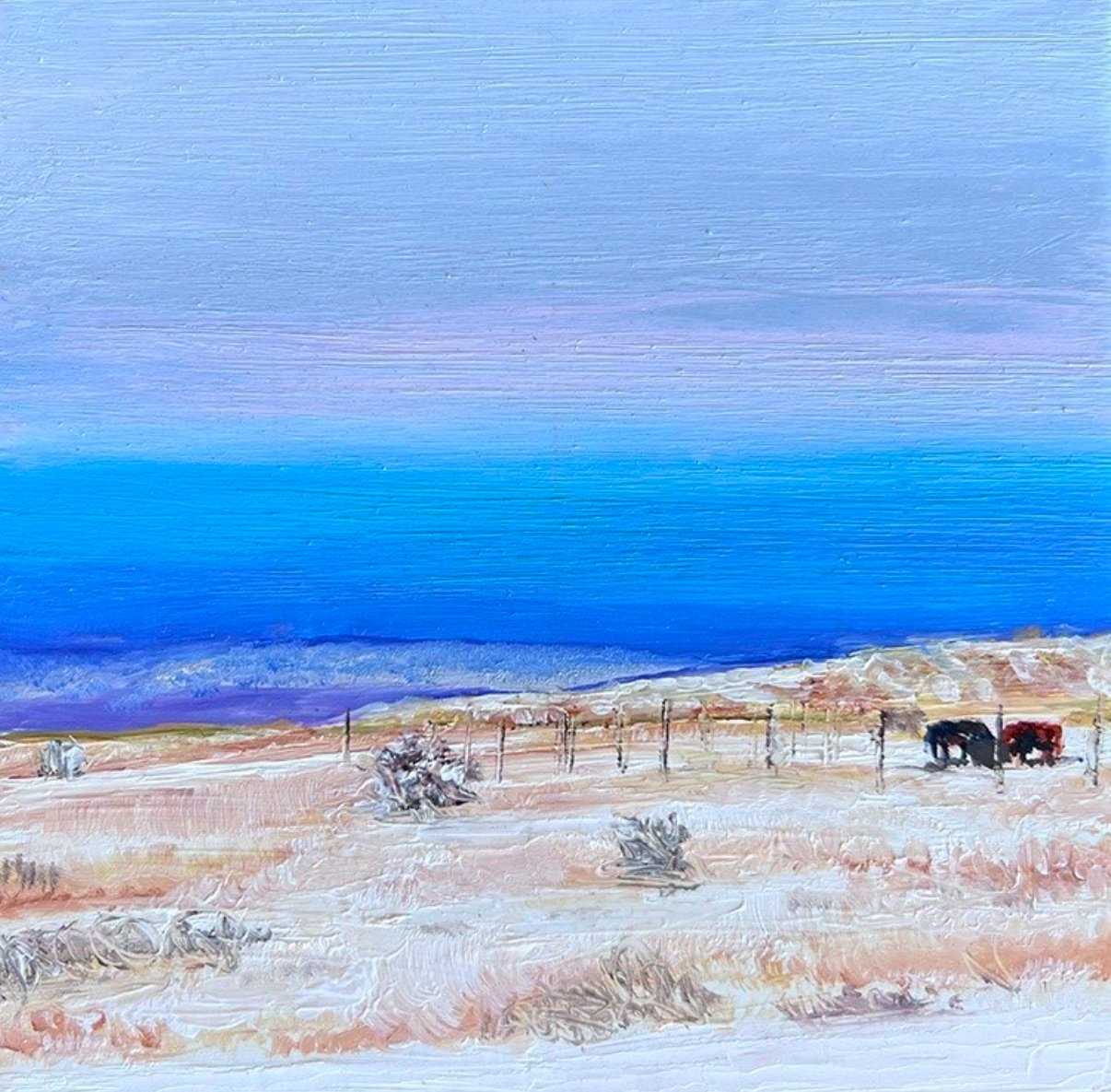 Winter on the Mesa