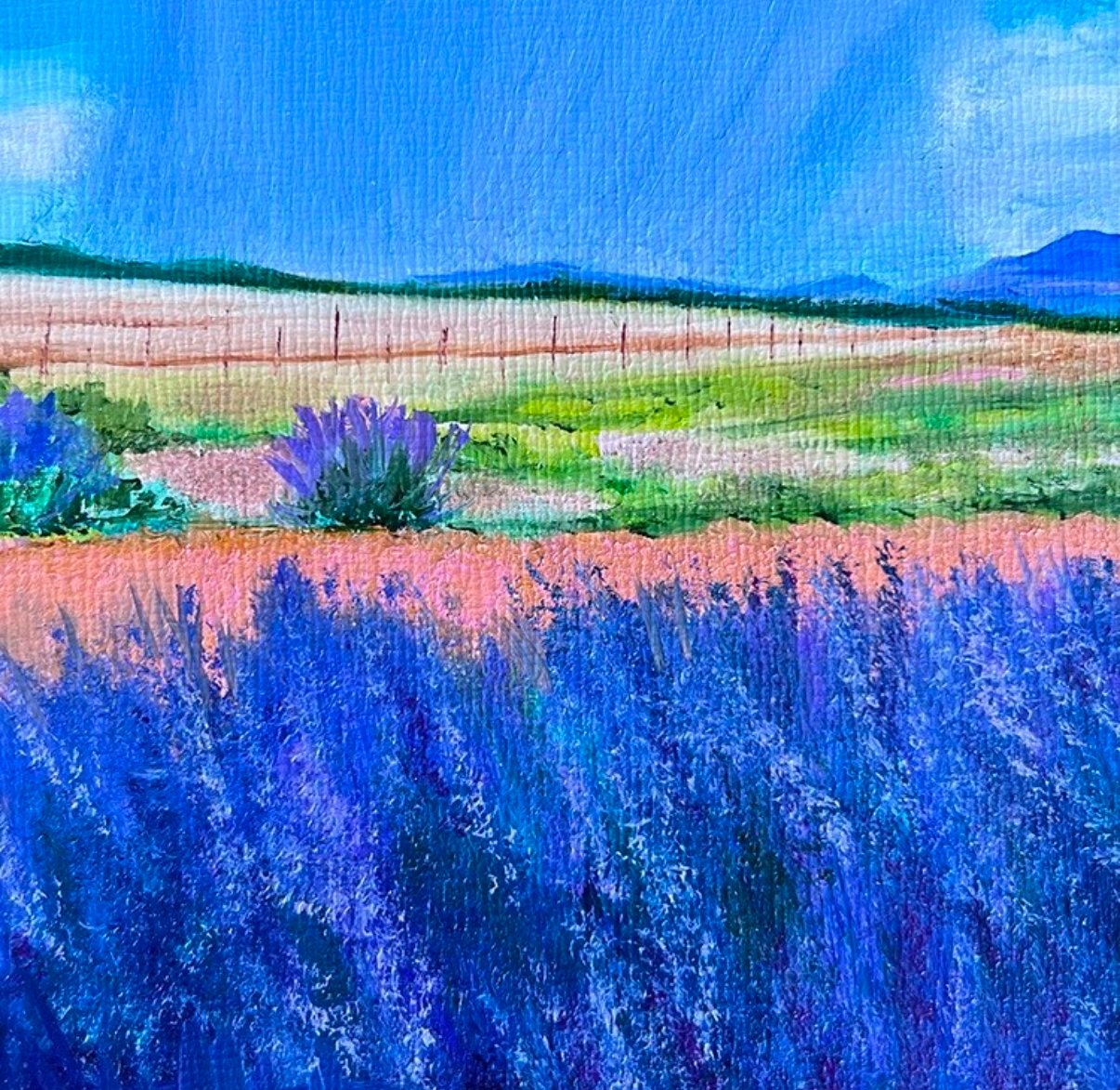 Russian Sage