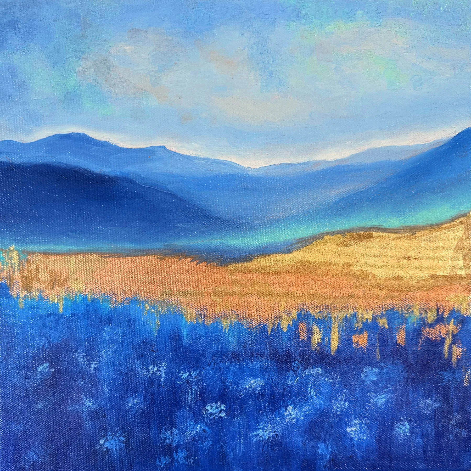 1. Copper Meadow and Wild Flowers.jpg