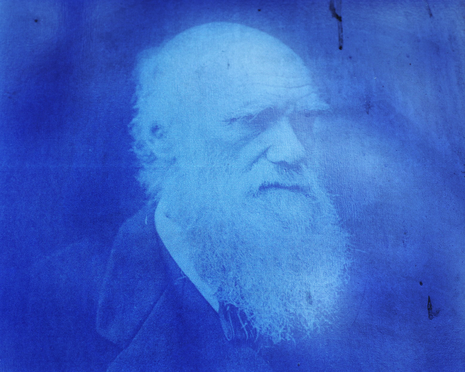 darwin1.jpg