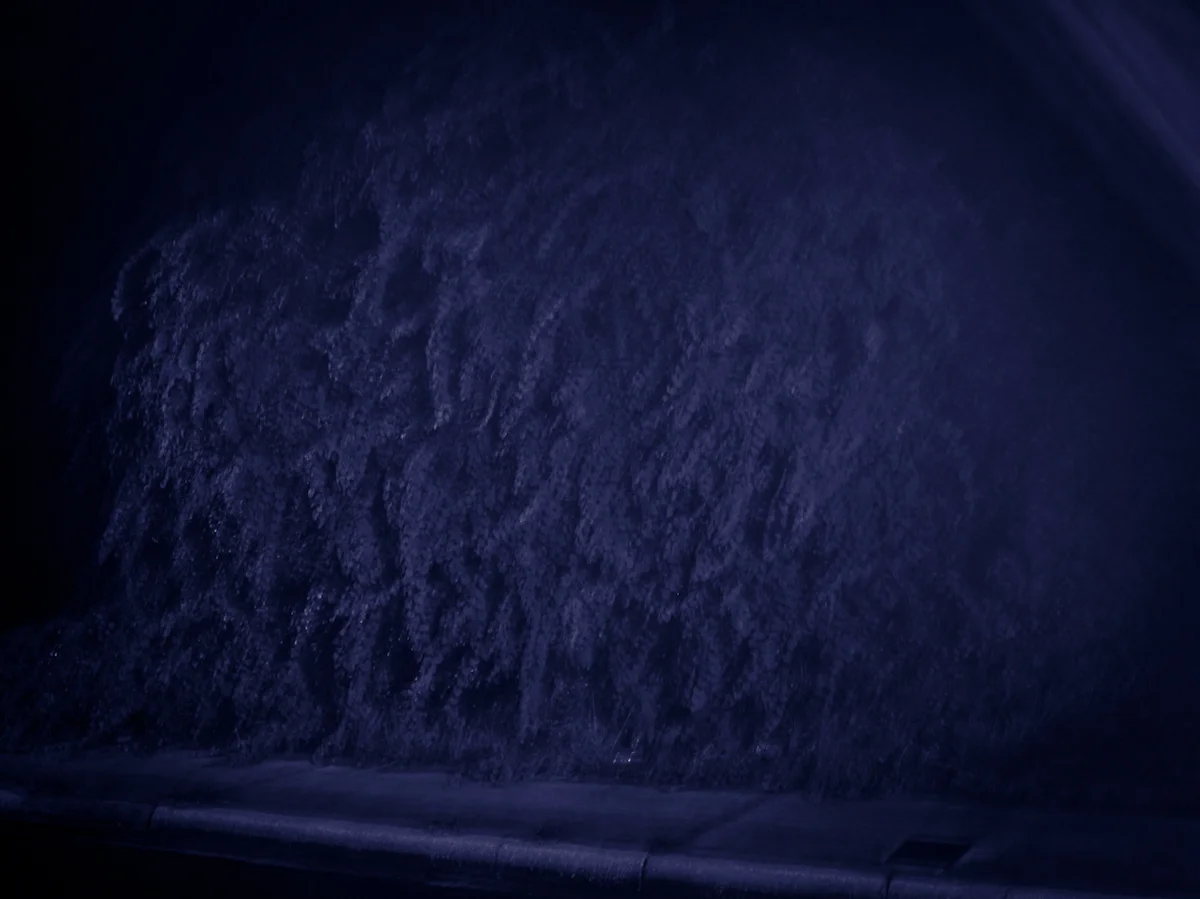 22_blue1.jpg
