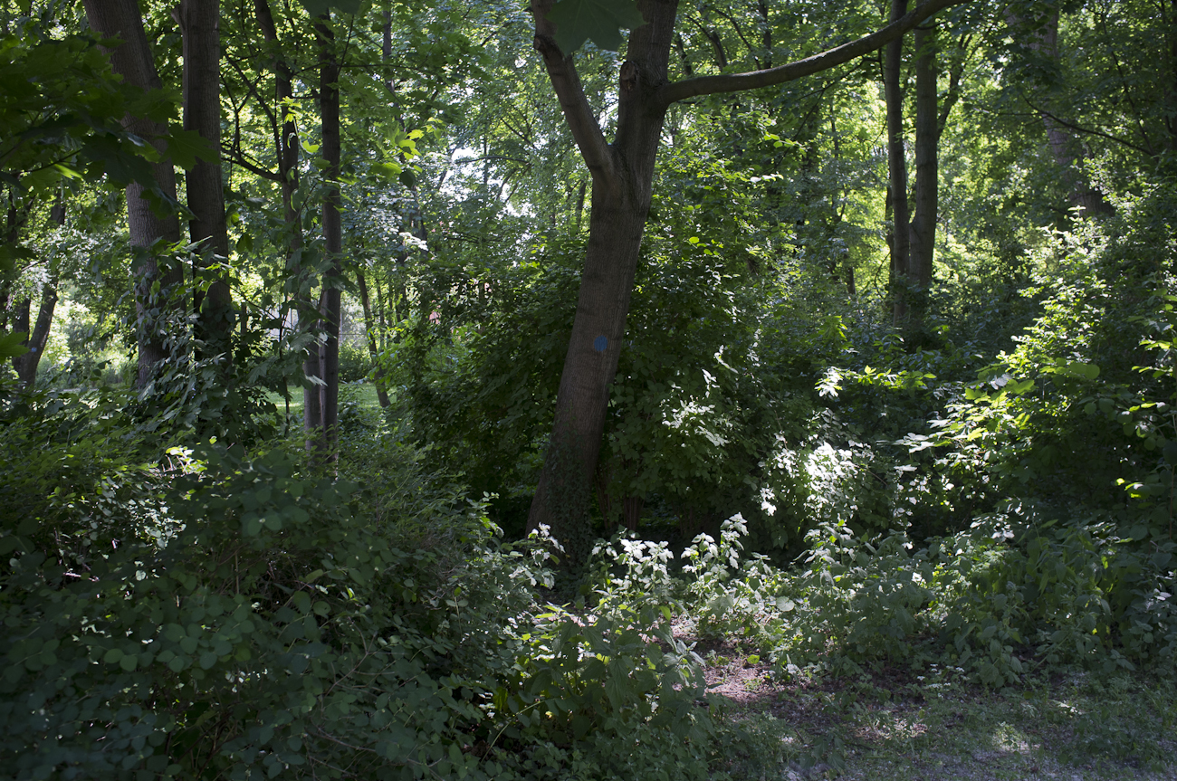 48_DSF1437.jpg
