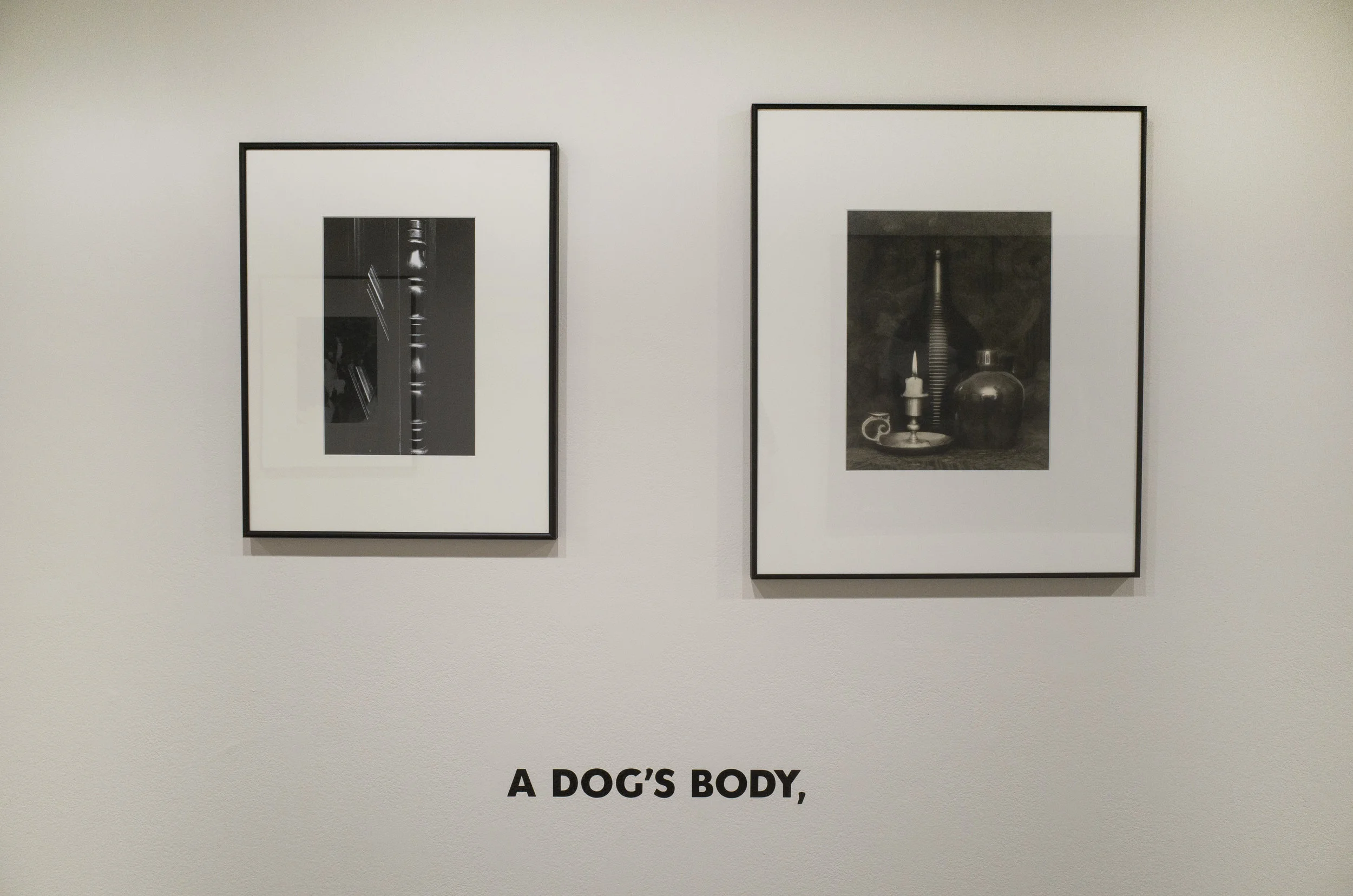 DogsBody.jpg