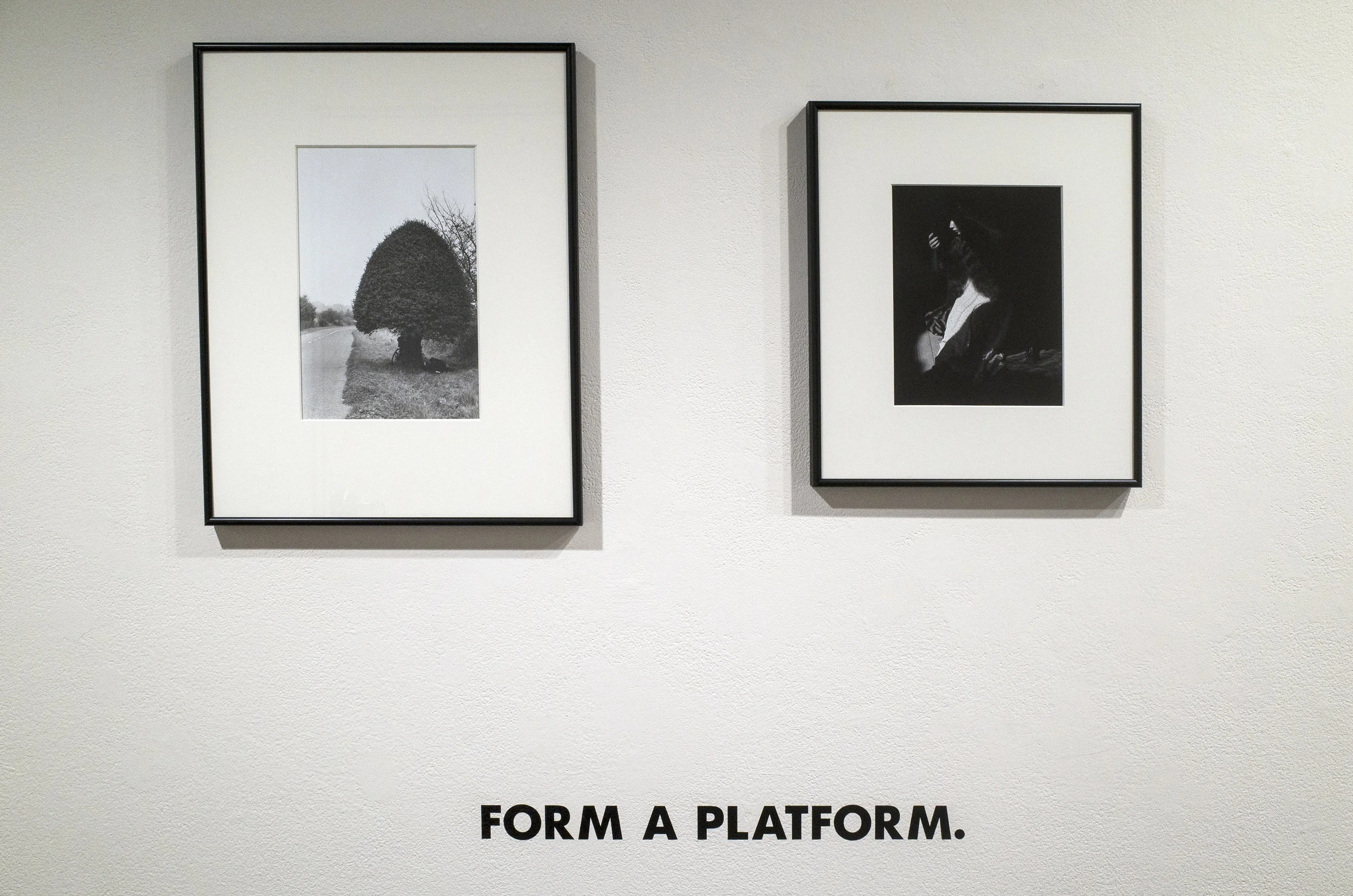 FormAPlatform.jpg