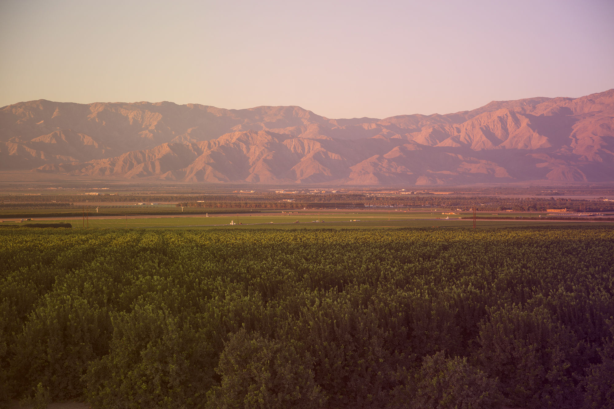 LTR_Sunrise_ECV_066 (1).jpg