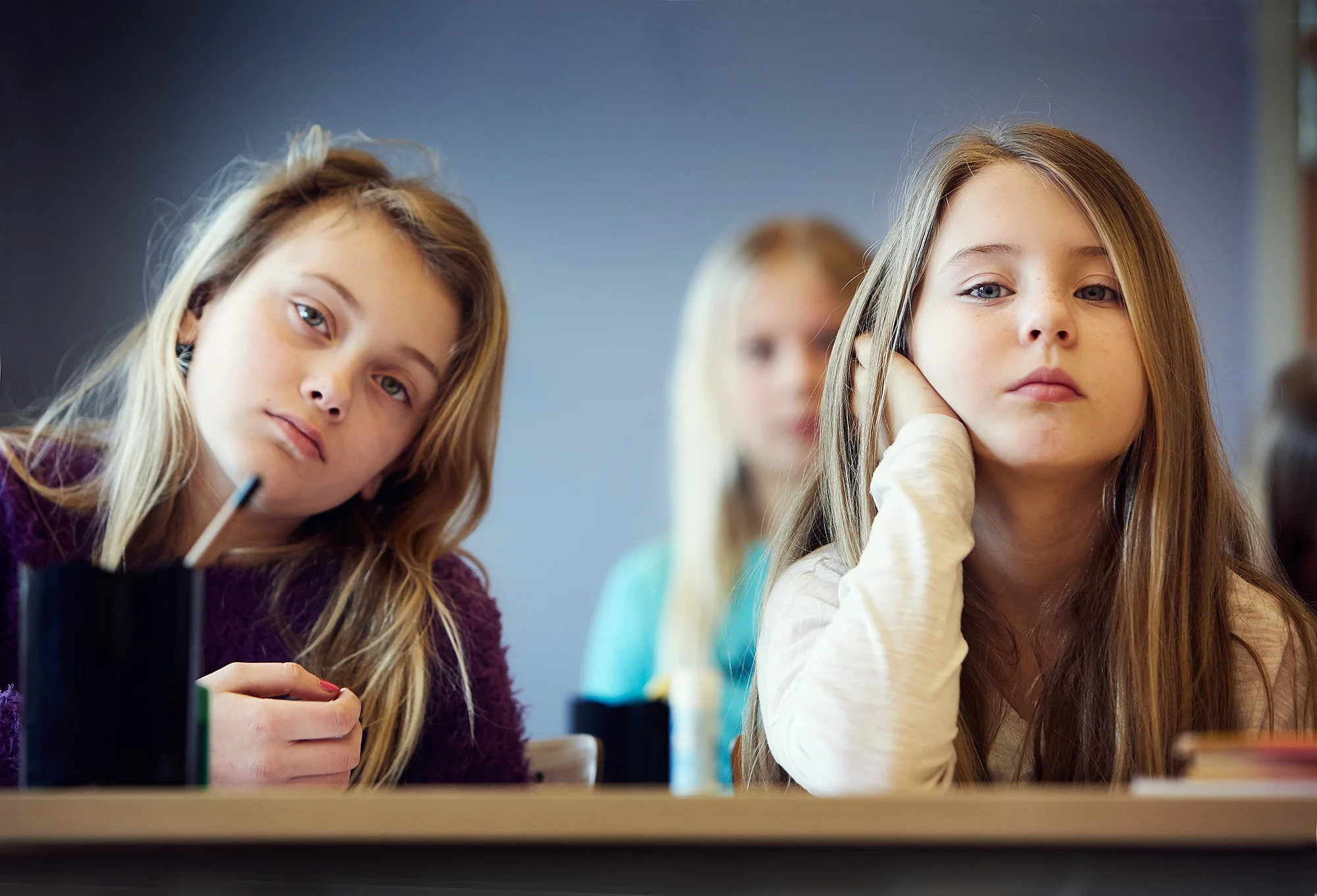 Skutehagens skola