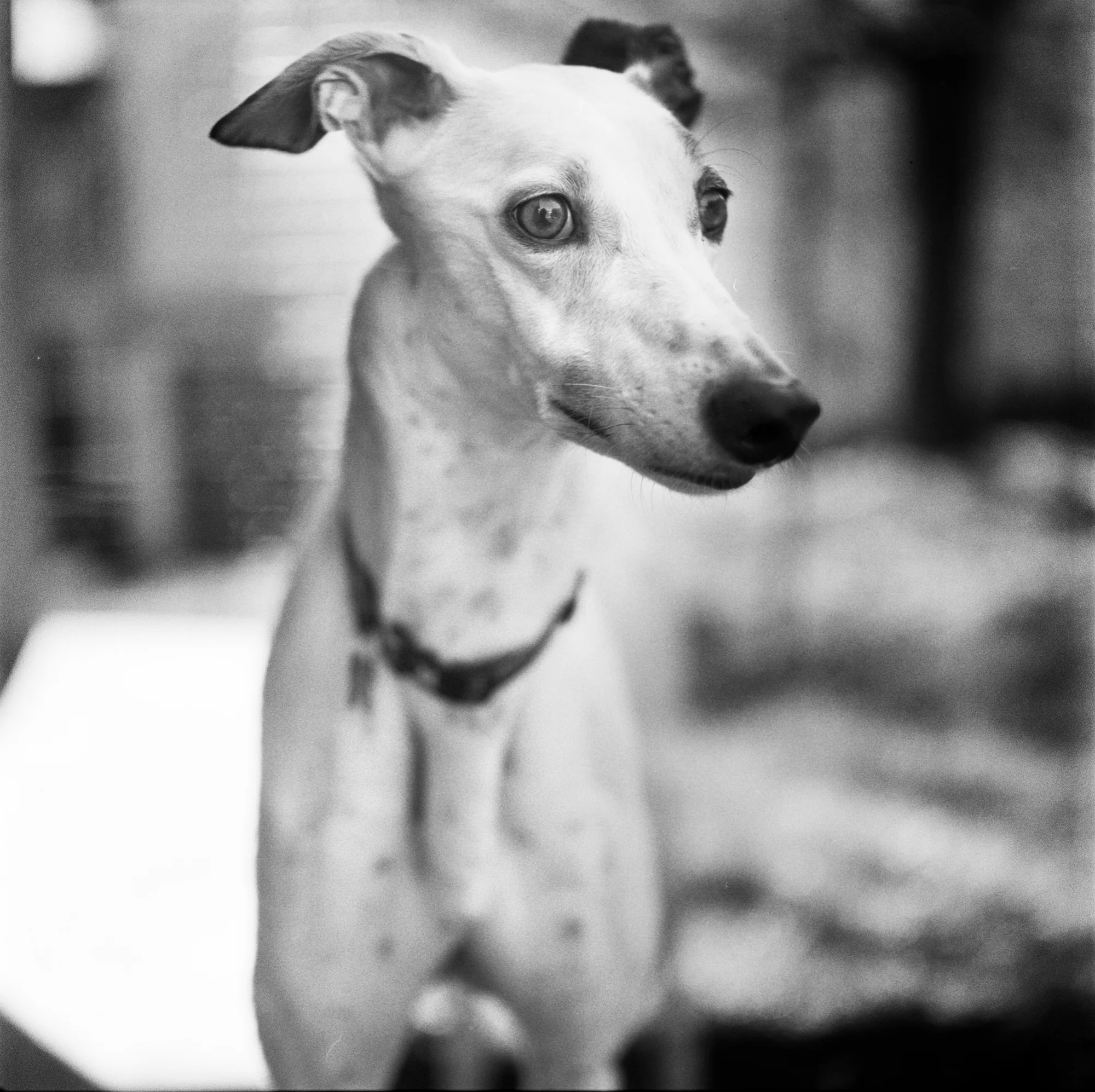 2017_sophie_r01_mamyac330_hp5_emofin_009-Edit.jpg
