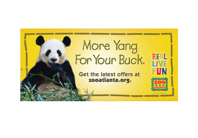 panda_2.jpg