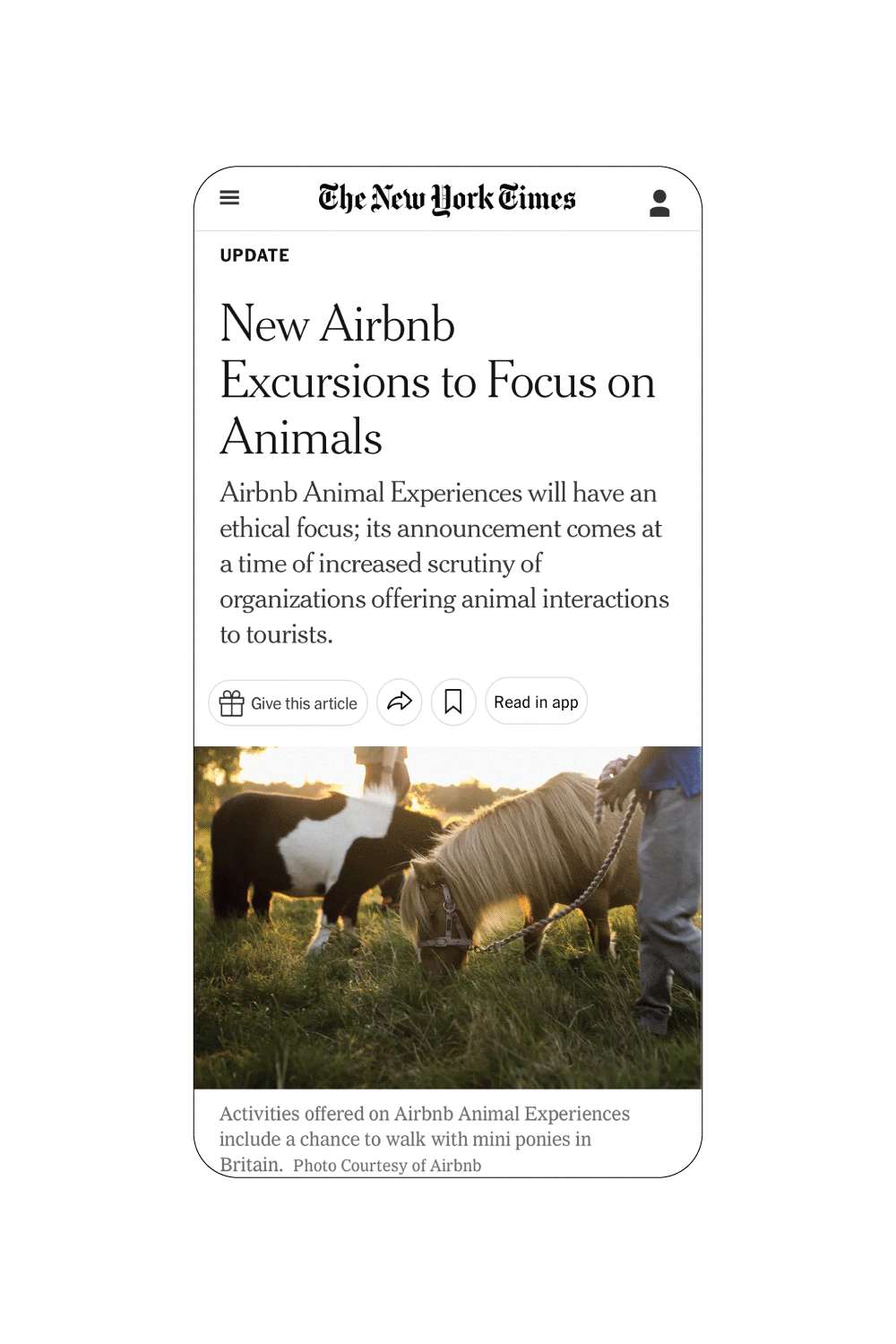 Airbnb_Animals_Press.gif