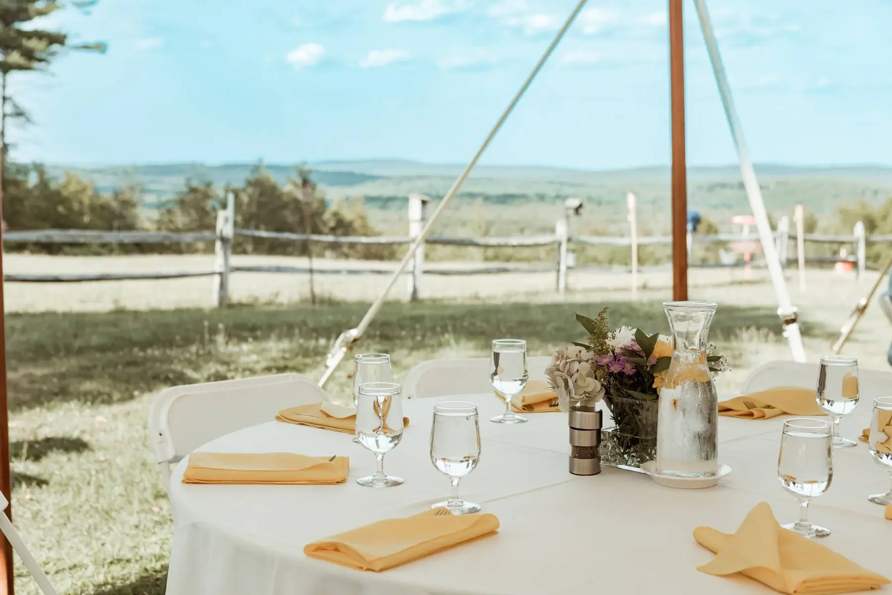 Blue Bear Inn View.webp