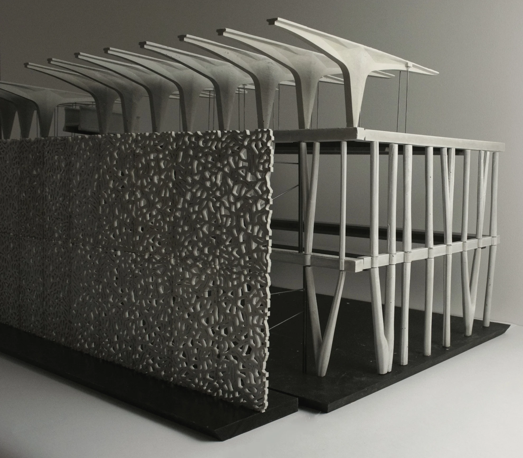 Structures Image.jpg