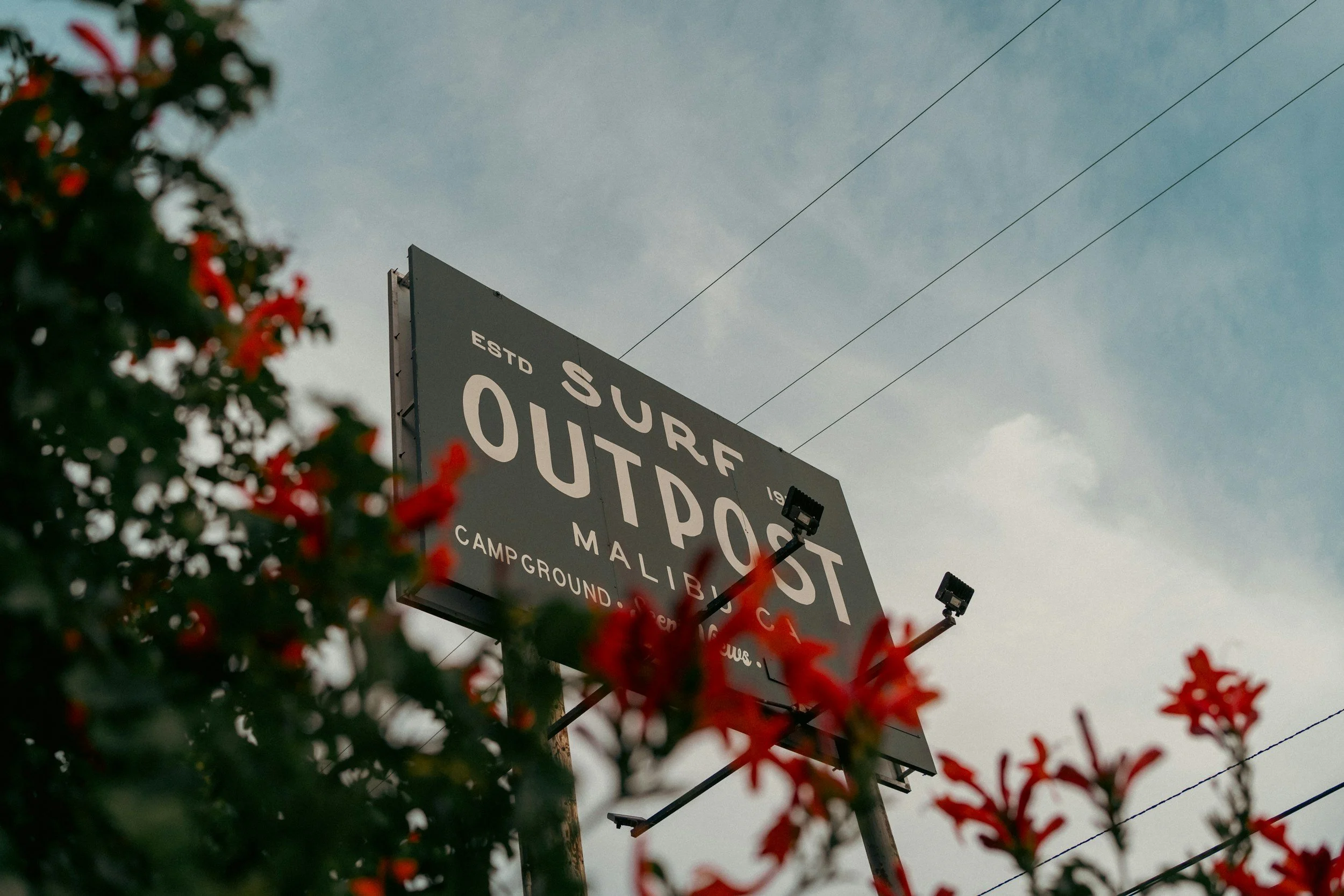 How Custom Signs Drive Customer Attraction and Increase Walk-In Traffic