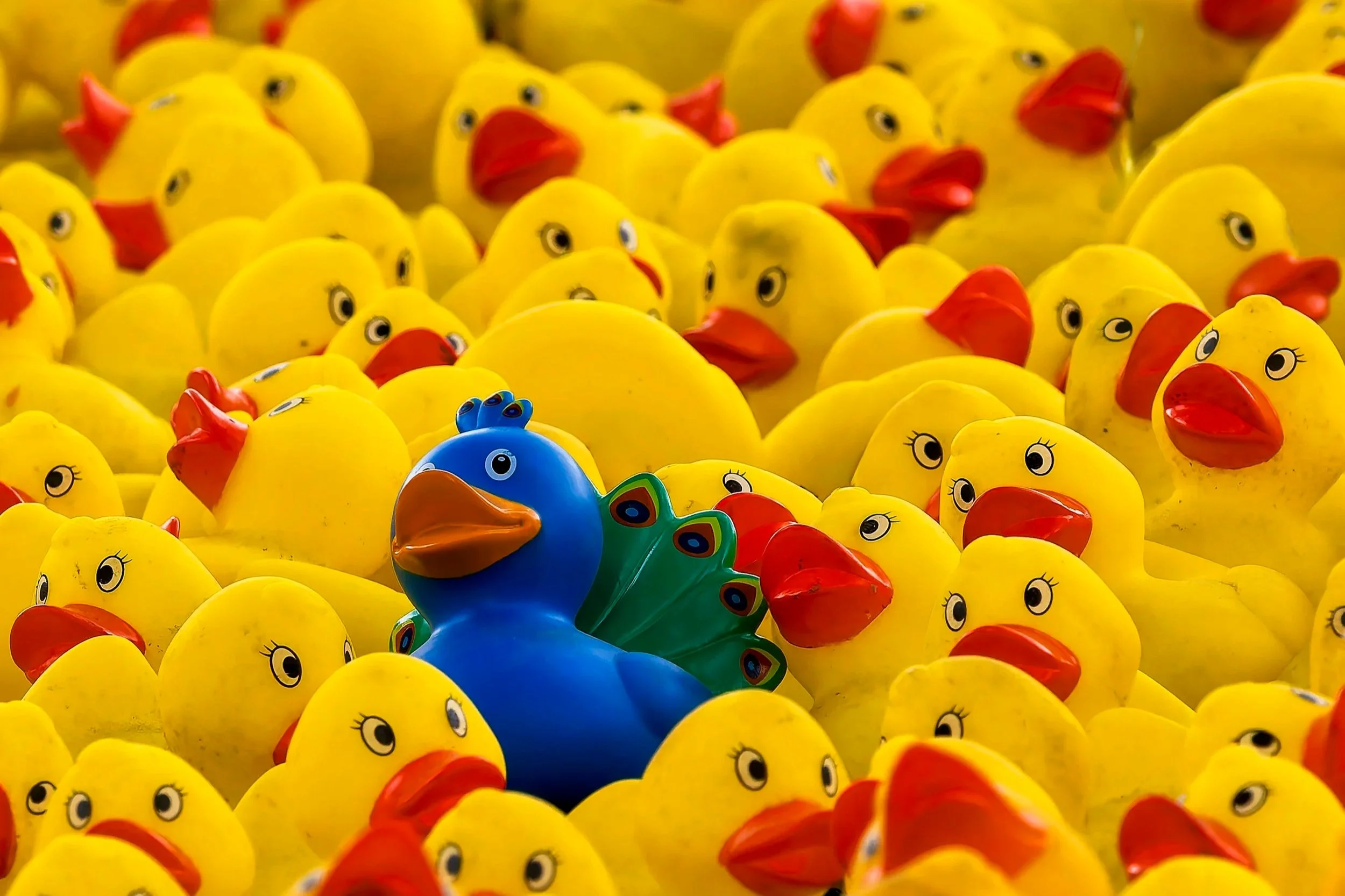 From Unknown To Unforgettable: Building A Stronger Brand