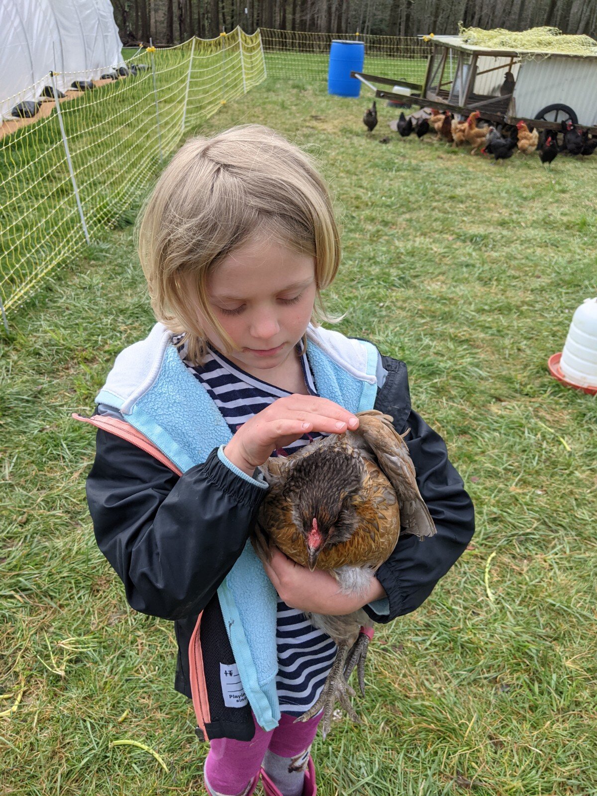 Liv Holding Henny Penny