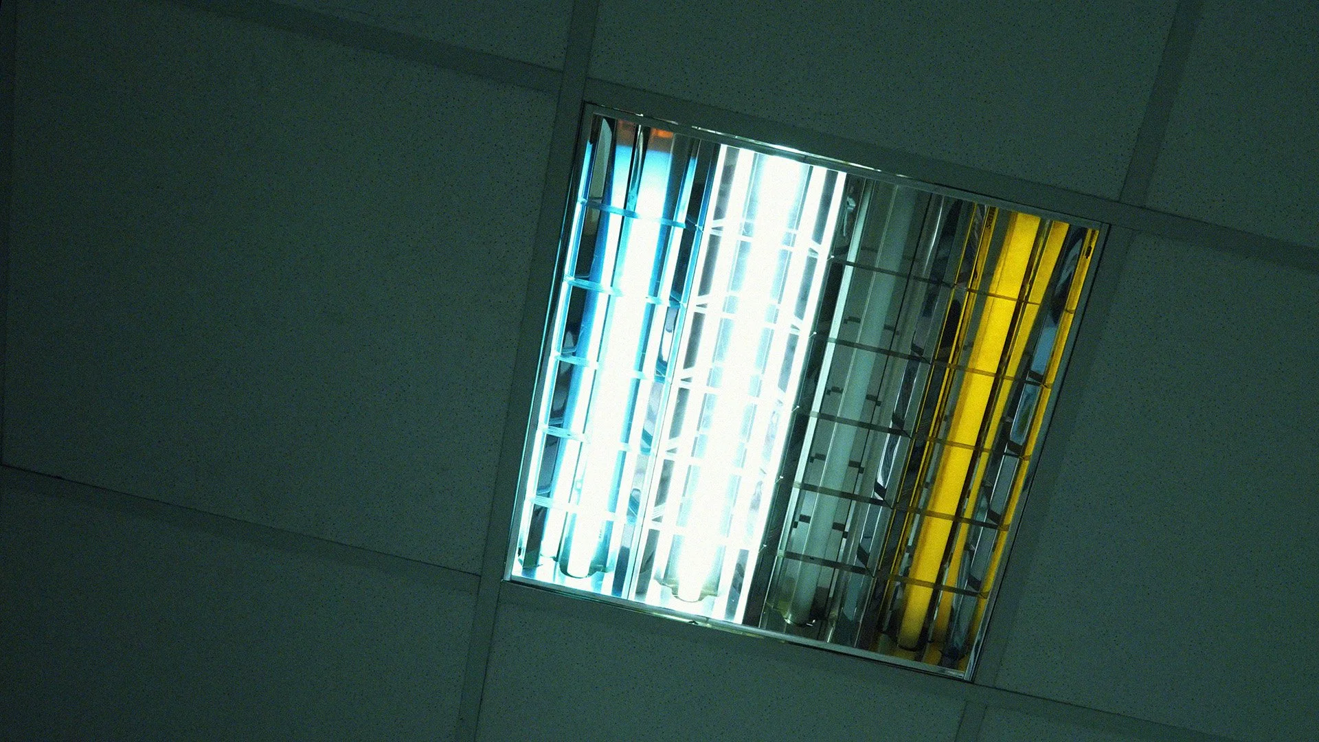 219748125-fluorescent-lamp-ceiling-turns (0-00-03-05).jpg