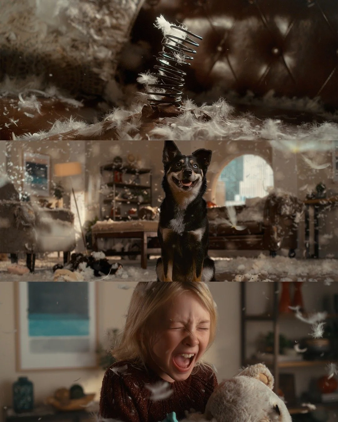 Pumped to share these frames! The shoot involved Bolt robots, green screen, super slow-mo via Phantom, great art direction and of course lovable doggos!

For color we leaned into the rich browns motivated by the sofa and popping the whites of the stu