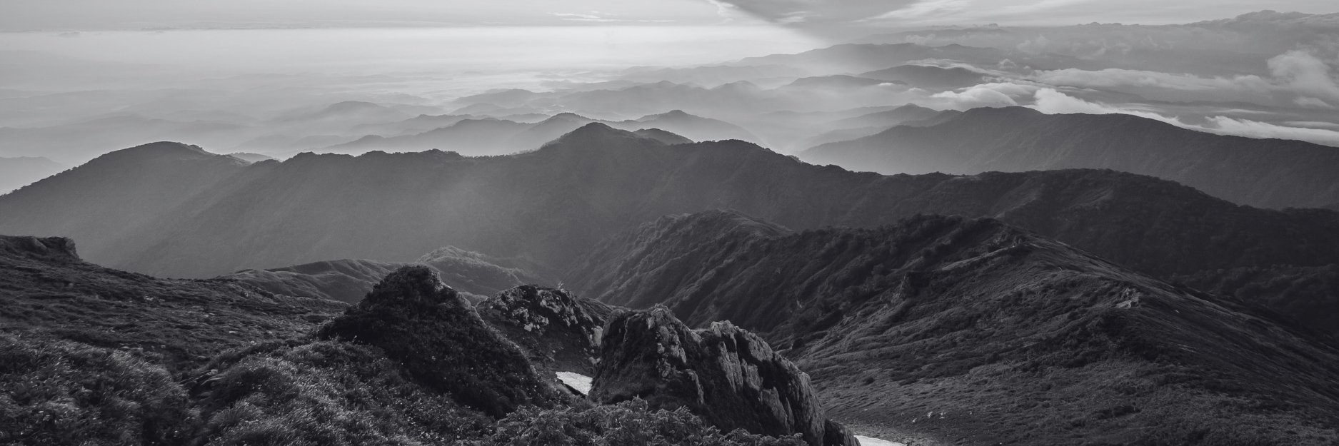 For the Love of Humanity Substack Cover Photo.jpg