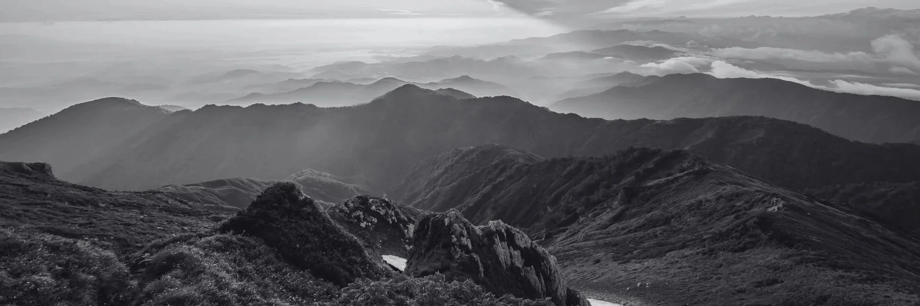 For the Love of Humanity Substack Cover Photo.jpg