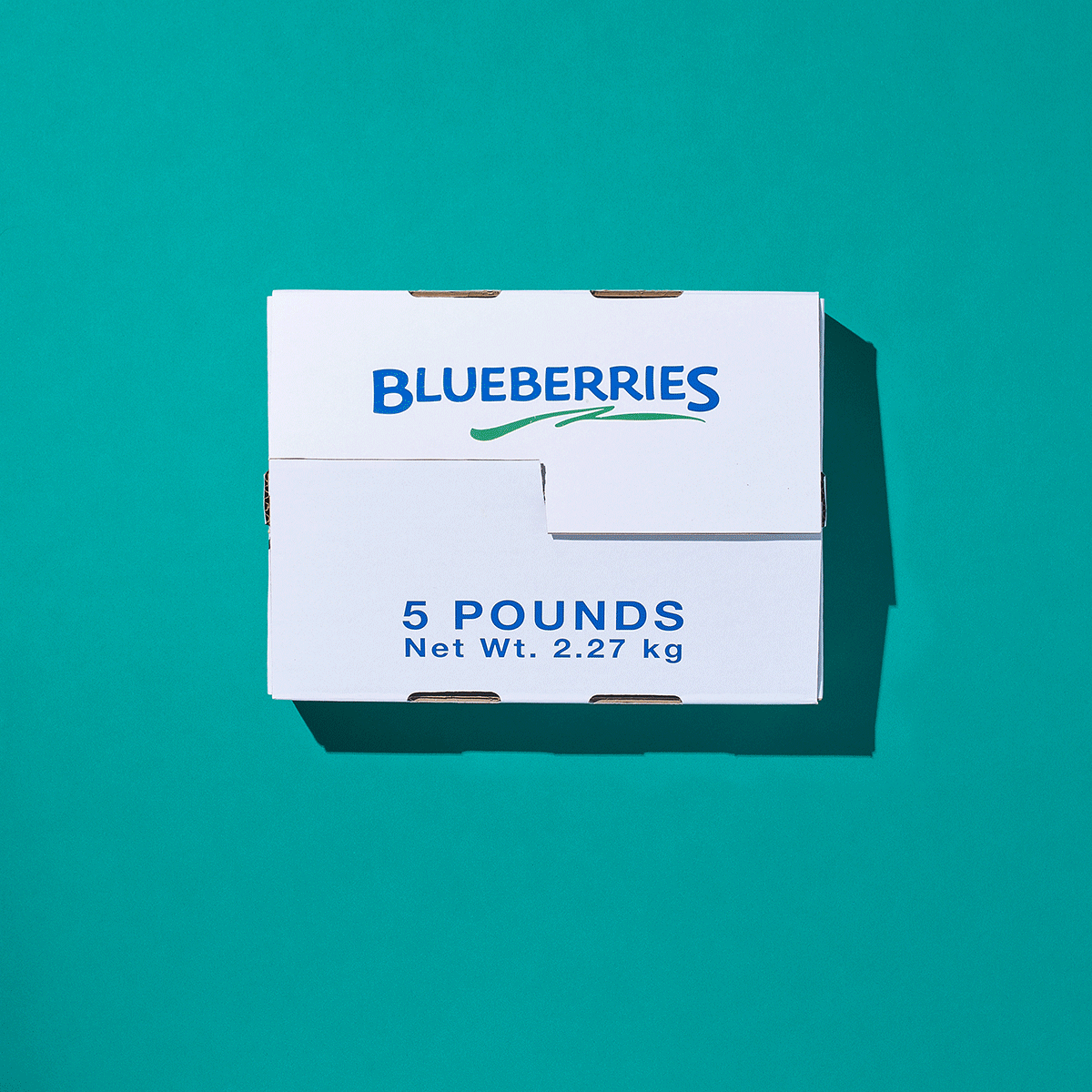 20190816_HLU_Blueberry_Timeline.gif