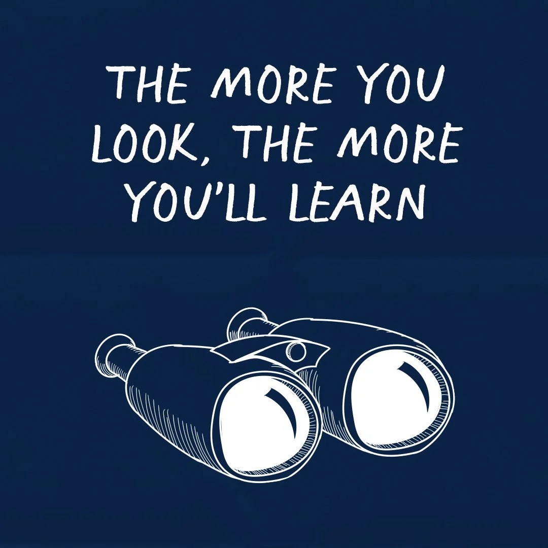 The_More_You_Look .jpg