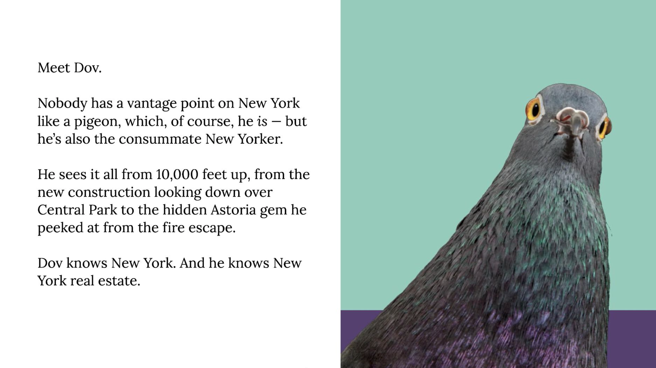 Screen Shot 2026-03-11 at 12.31.28 PM.png