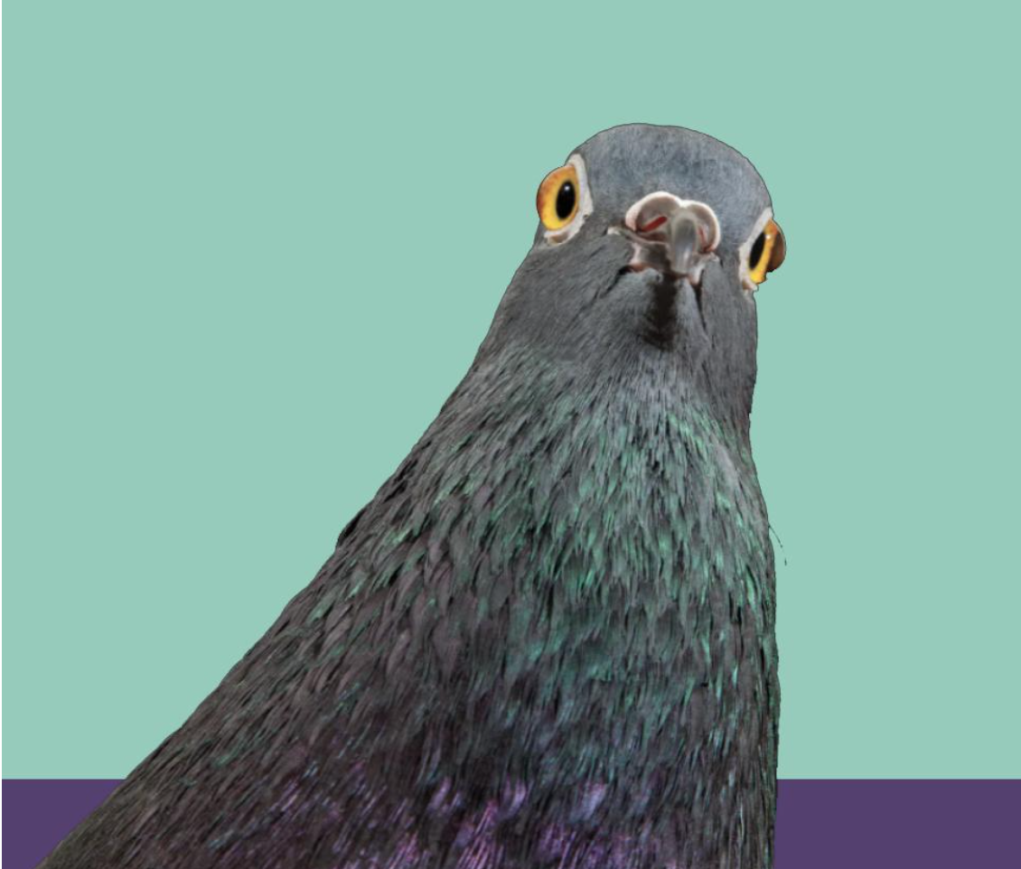 The ones that got away