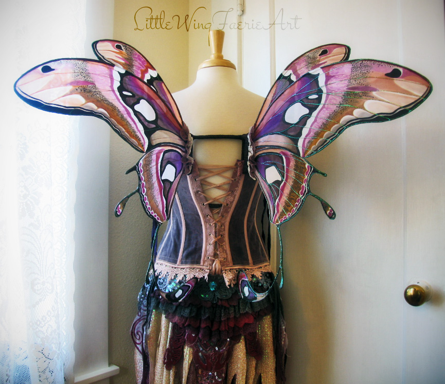 atlas moth wings1.JPG