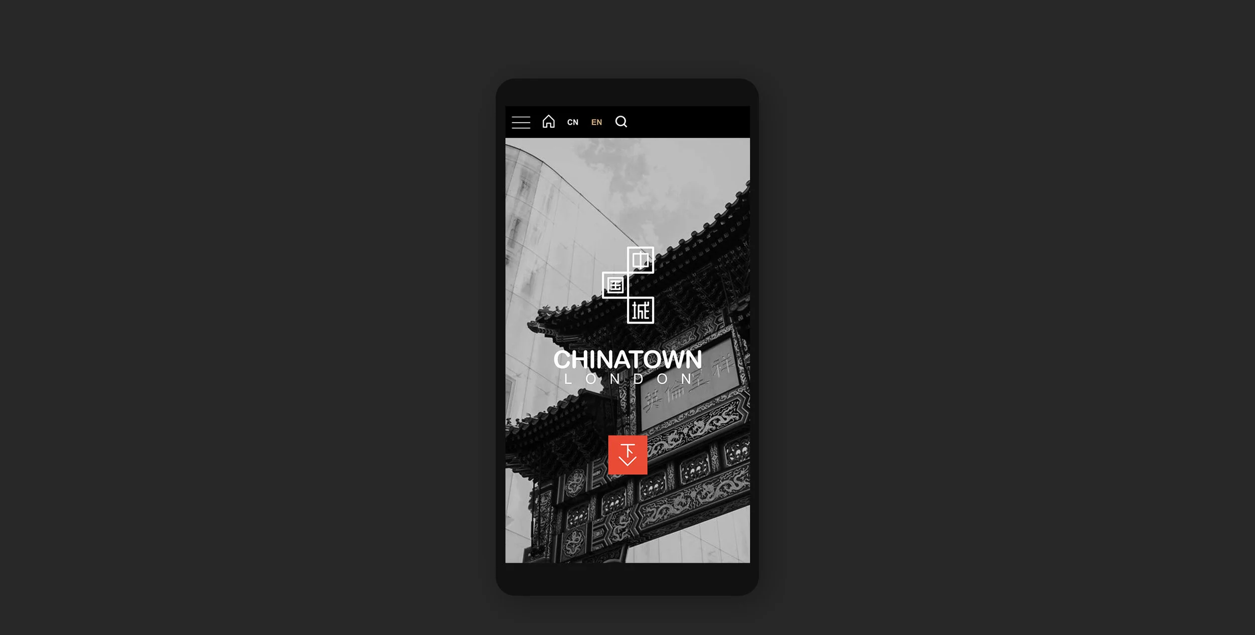 Chinatown-Website_14.jpg