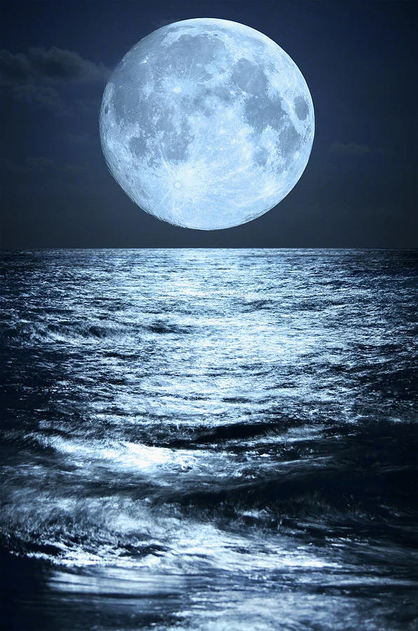 The Stars Where There Is Beauty The Stars Where There Is Beauty