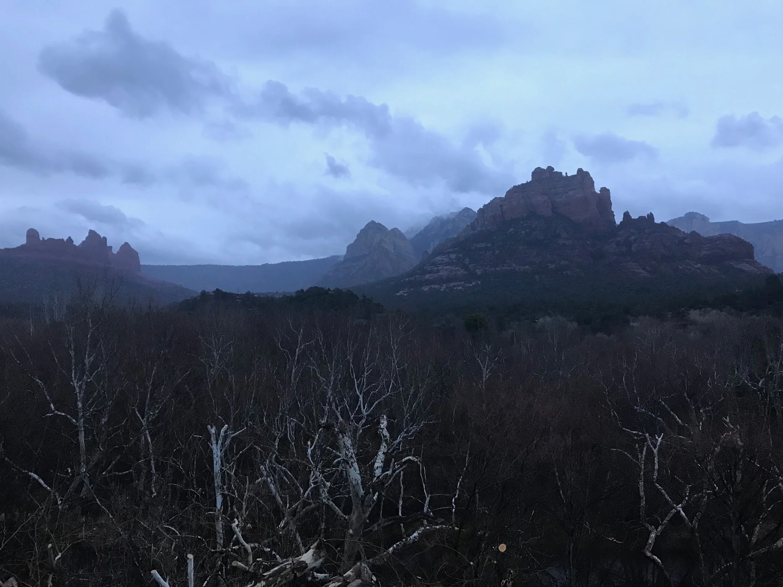 Beautiful even in the rain.