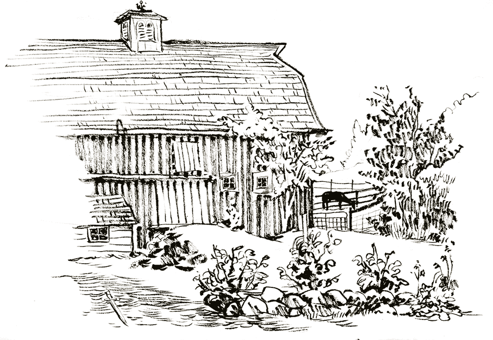 illustration — verabee