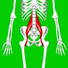 Solutions for Low Back pain in Lancaster, PA