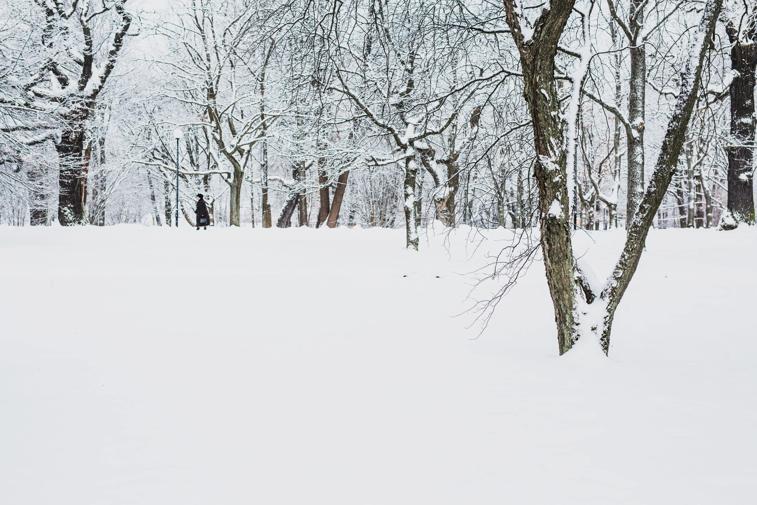 This was one of my happiest days in Tallinn. Dave had to go to Ethiopia, so I was alone in the city. It had snowed heavily all night and so I woke up and walked to the city’s largest park and found magic. I took photos until my hands and feet were frozen, and felt so happy, and so alive.