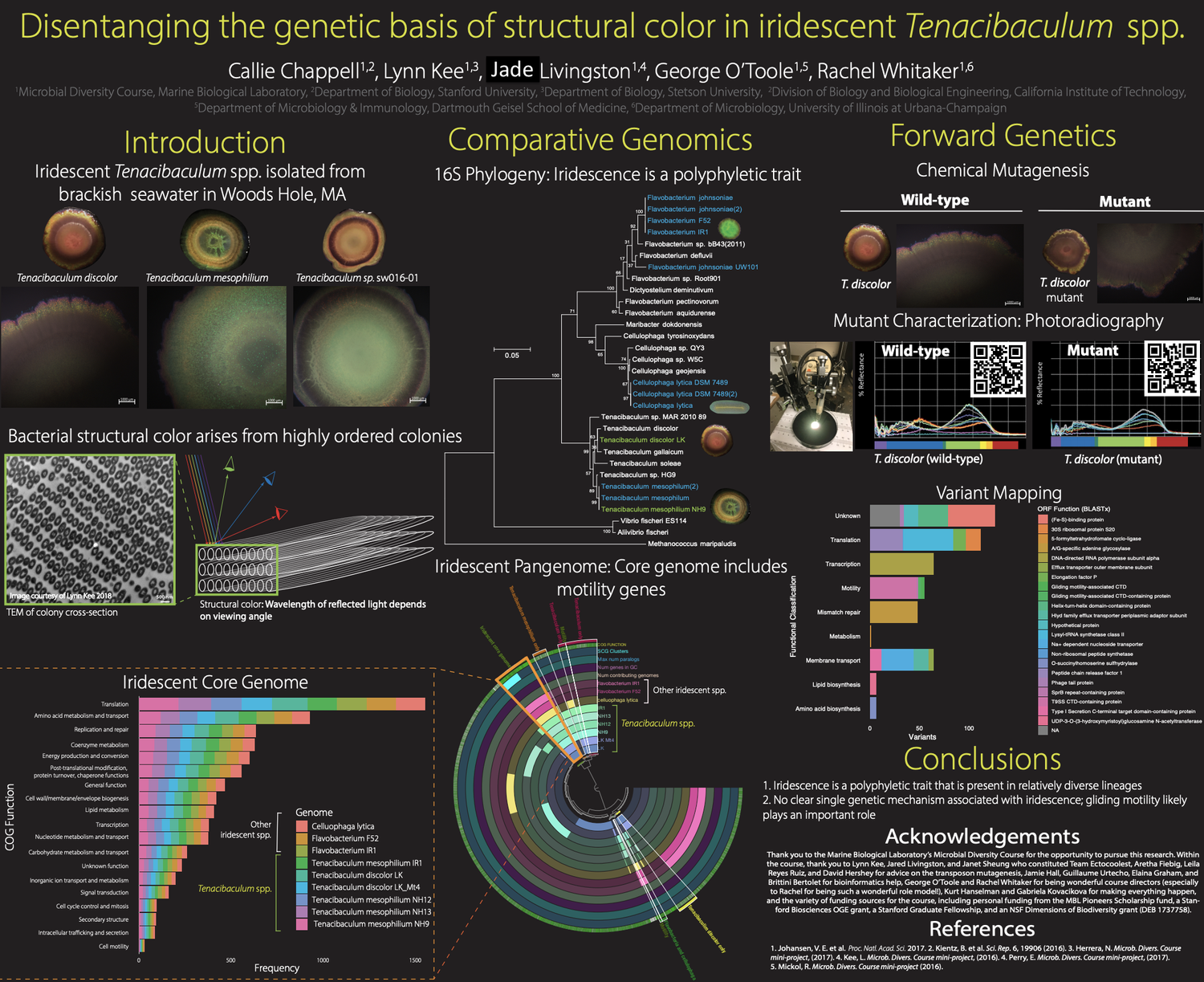 How to make a scientific poster — Callie R. Chappell