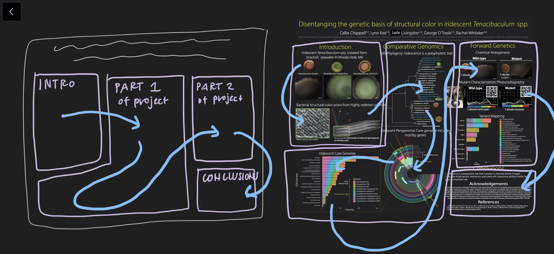 How To Make A Scientific Poster Callie R Chappell