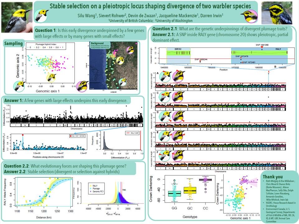 How To Make A Scientific Poster Callie R Chappell