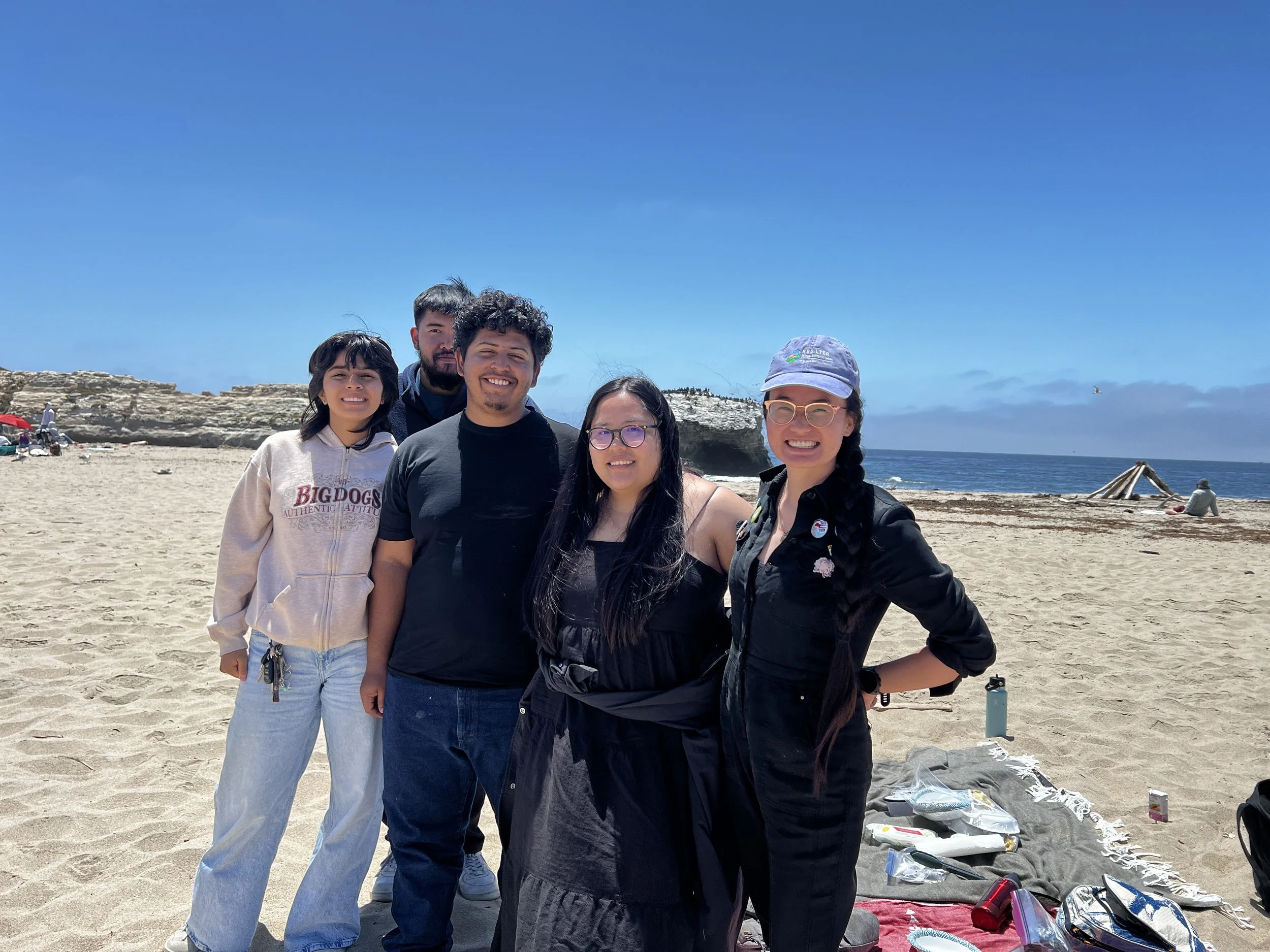 Beach picnic in Santa Cruz