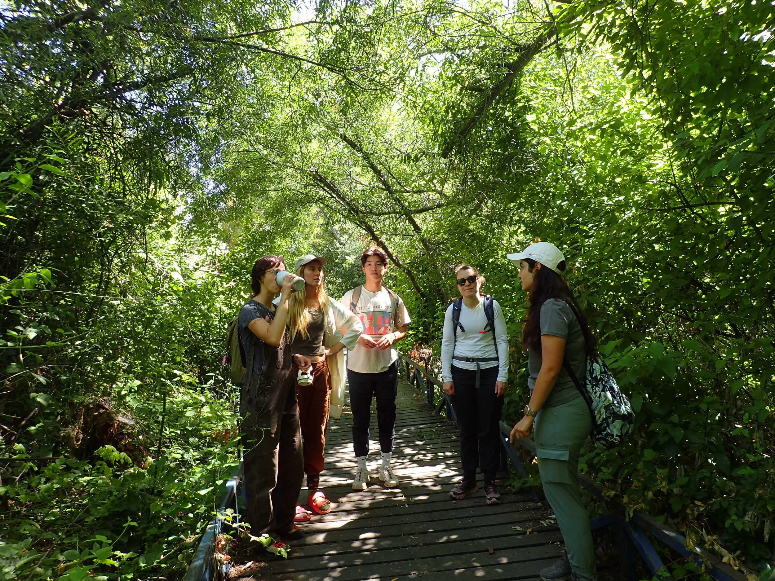 Field Trip to Jasper Ridge Biological Preserve