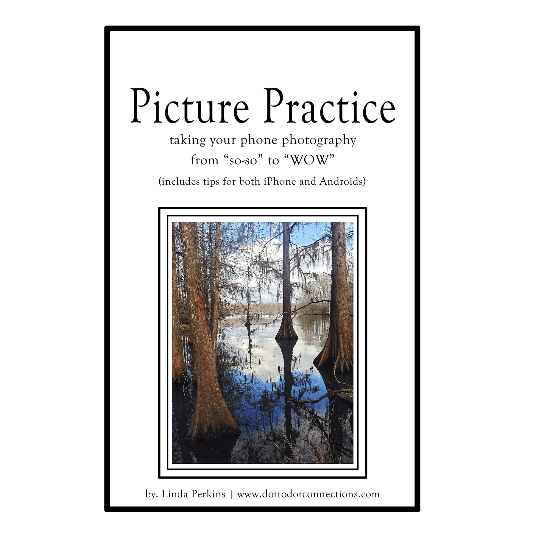 Downloadable eBook--on sale for a limited time.