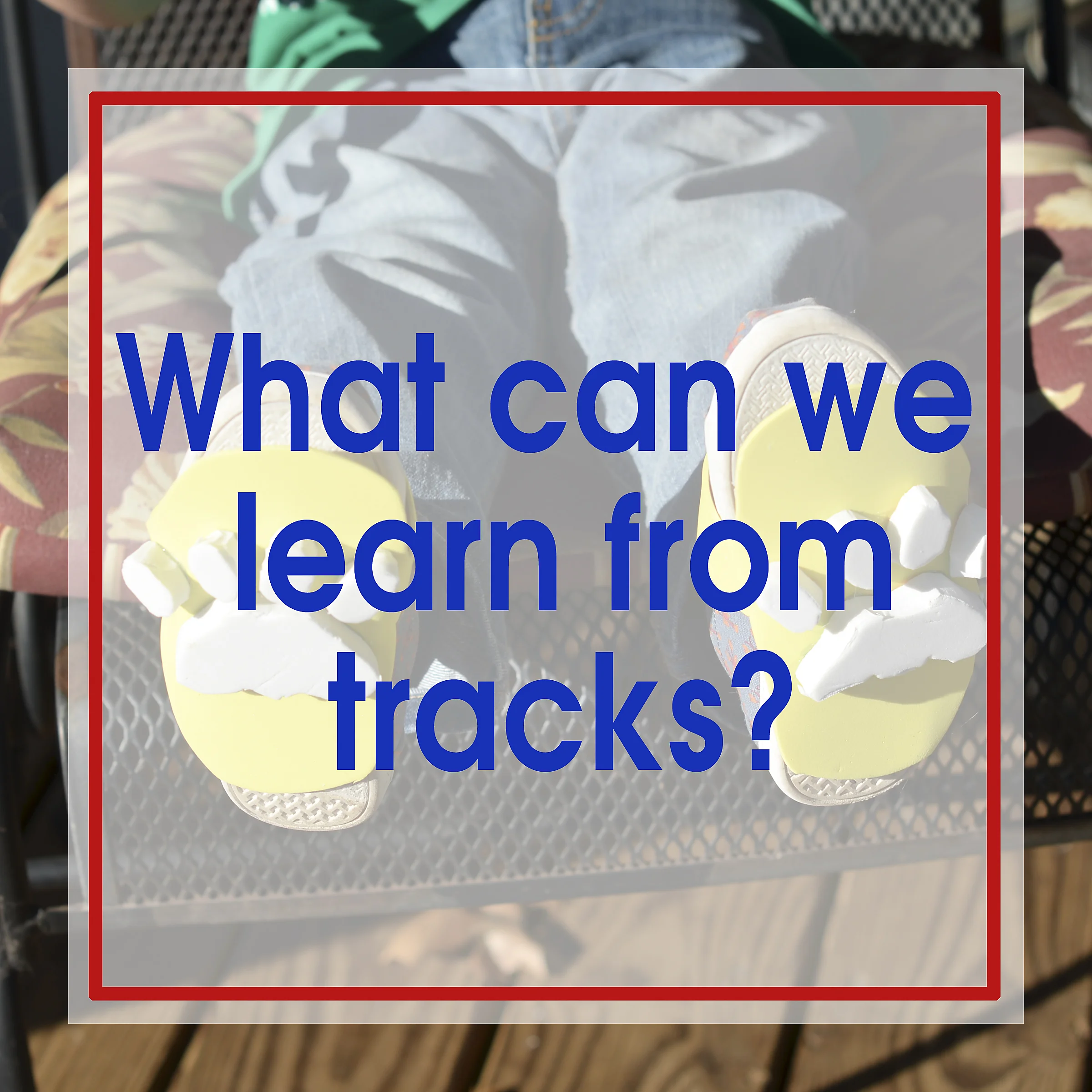 WhatCanWeLearnFromTracks.jpg