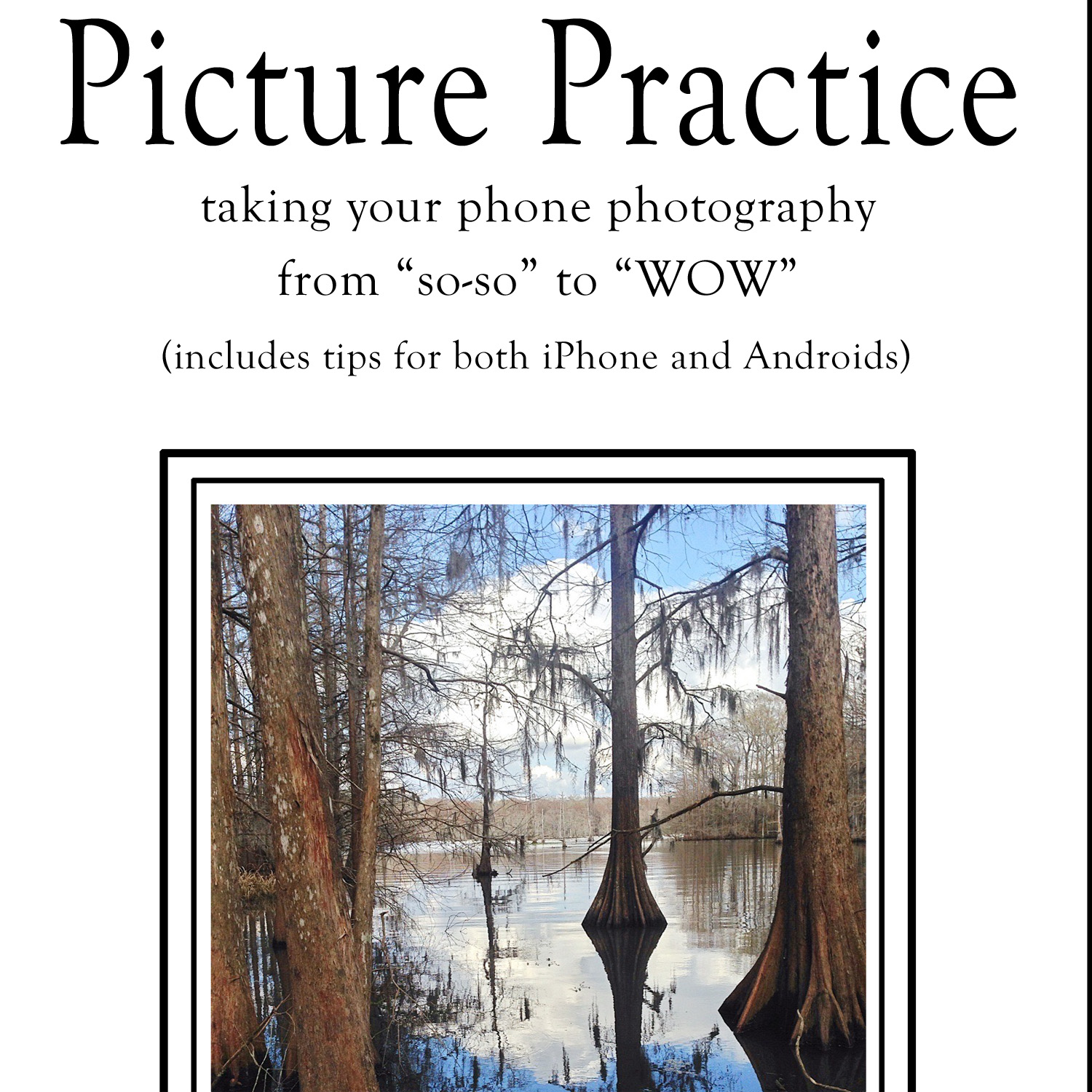 Take Your Phone Photography Skills Up A Notch