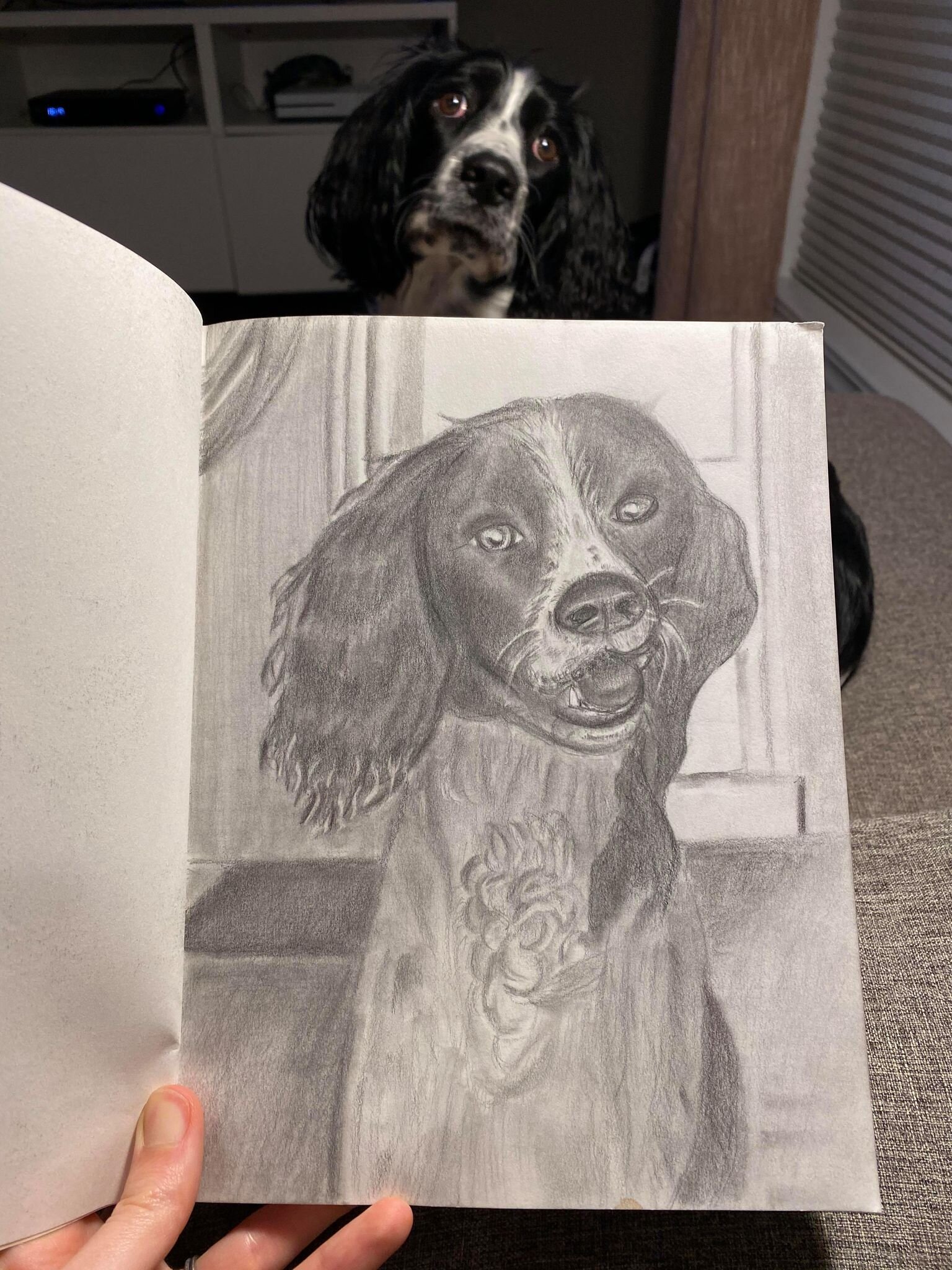Pippa Sketch, Pencil on Paper. By: Justine Browning
