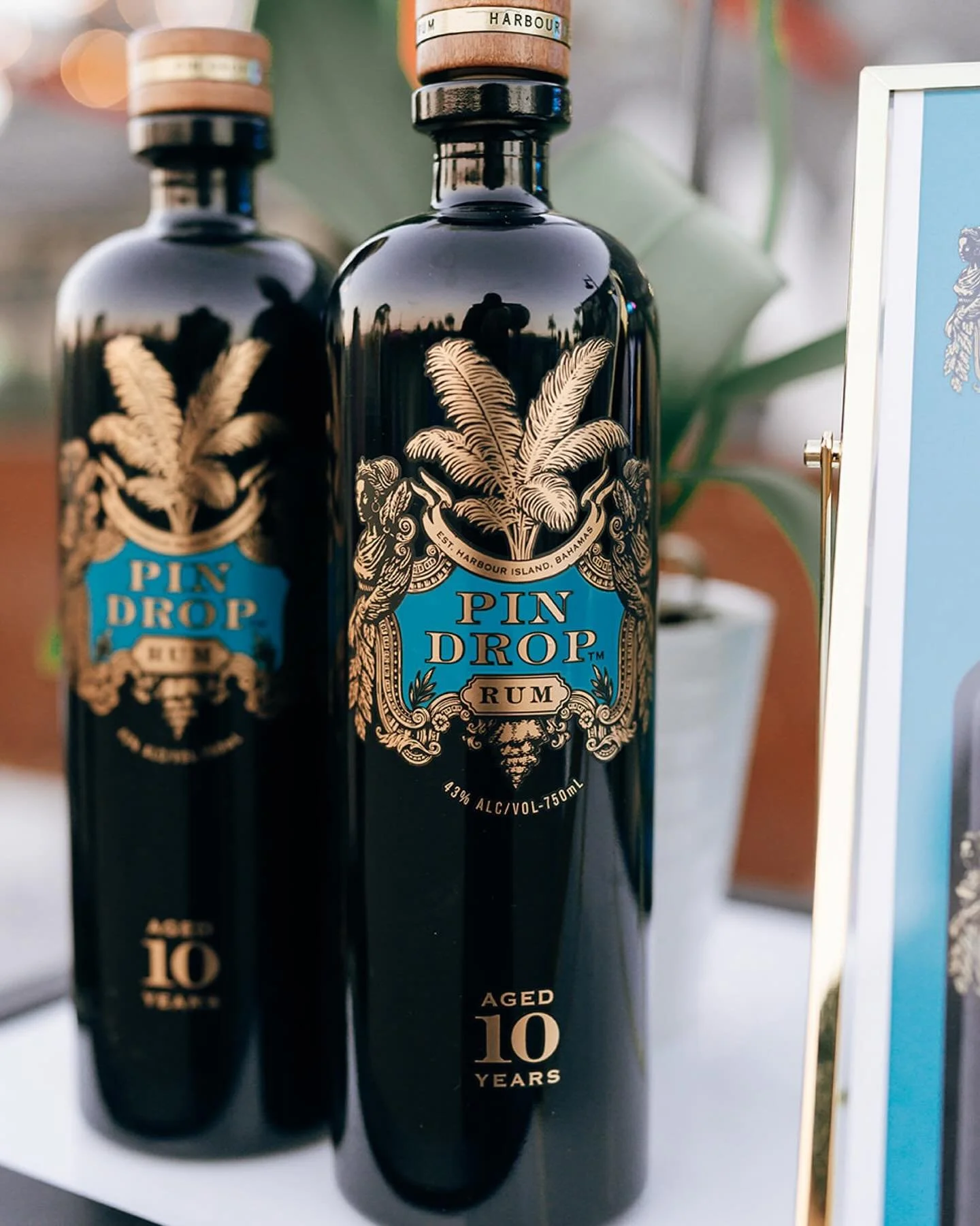 It&rsquo;s just keeps getting better! Thank you again!

📸: @seanevansphotography