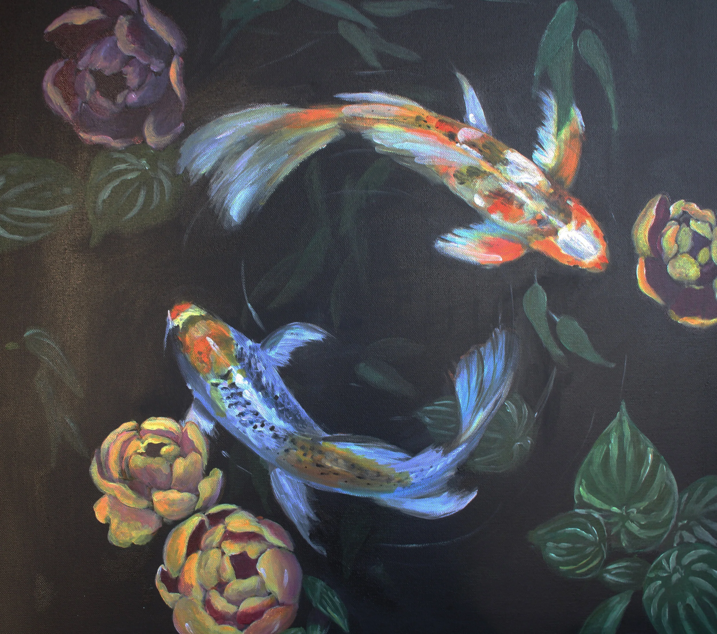 Playing Koi
