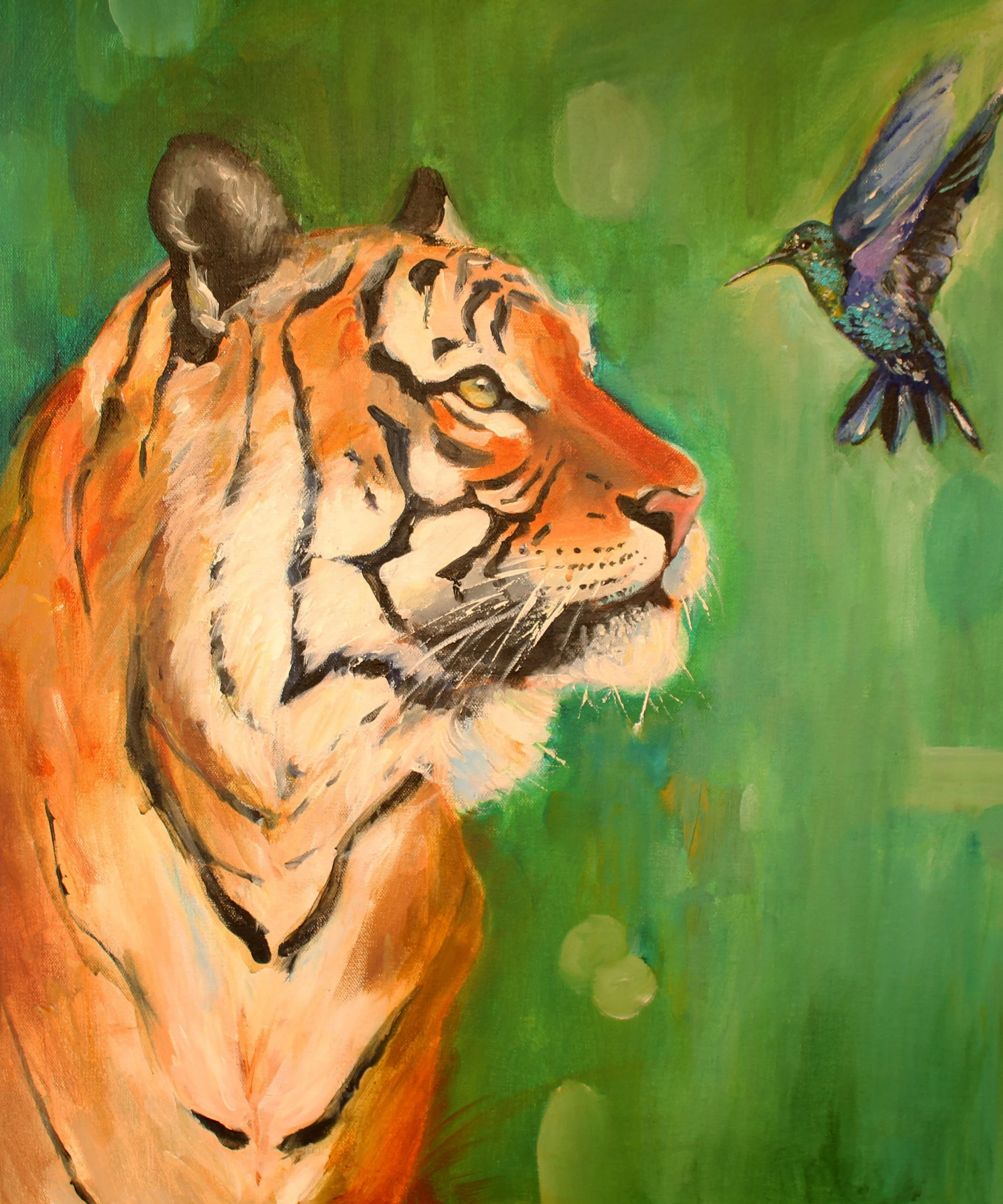 Humming Bird and the Tiger