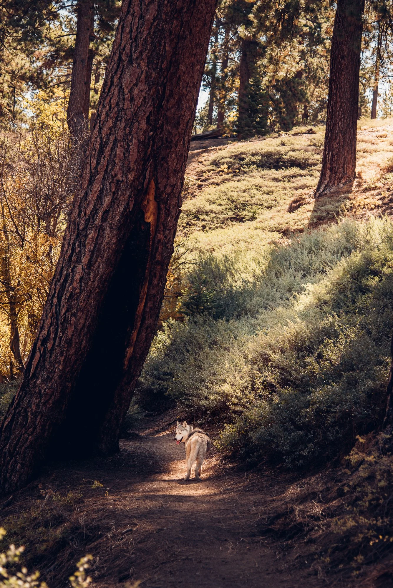 2017-10-05 21.53.52.JPG