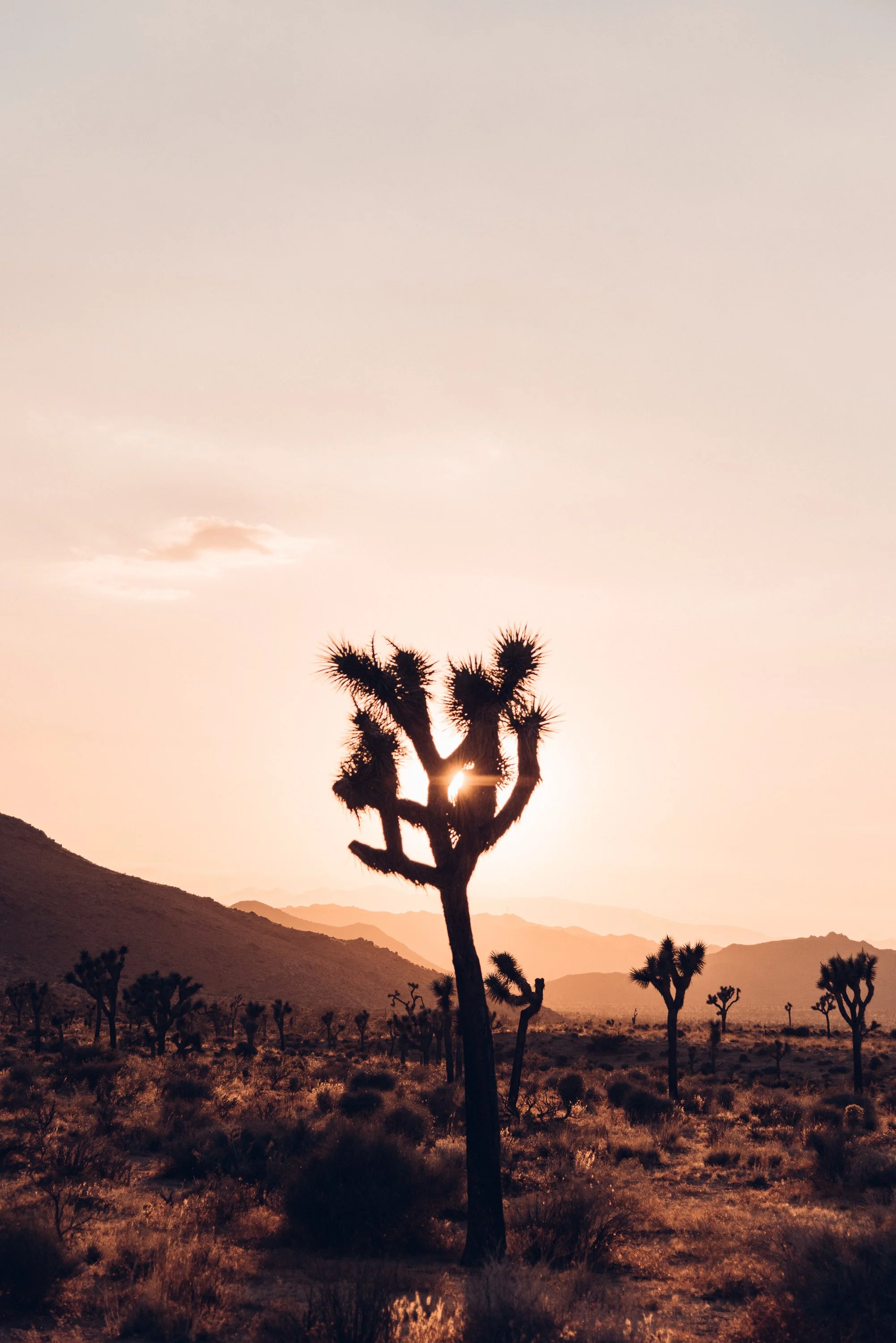 2017-08-04 06.22.20.JPG