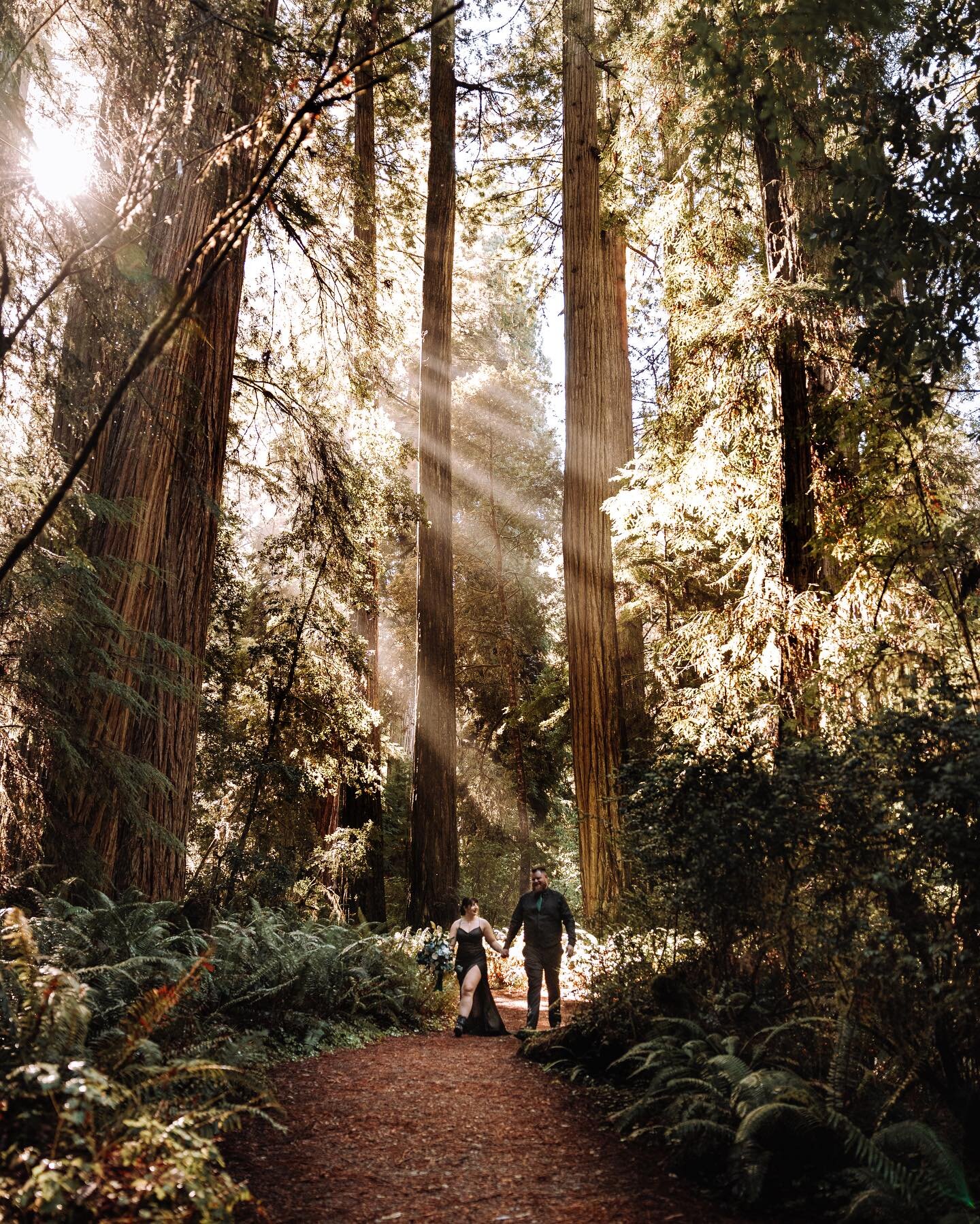 So excited for the opportunity to capture Rachel and Gabe&rsquo;s intimate elopement in OR! We got to adventure around ferns, redwood trees, and of course the Oregon coast!! Such a beautiful day!! 😍