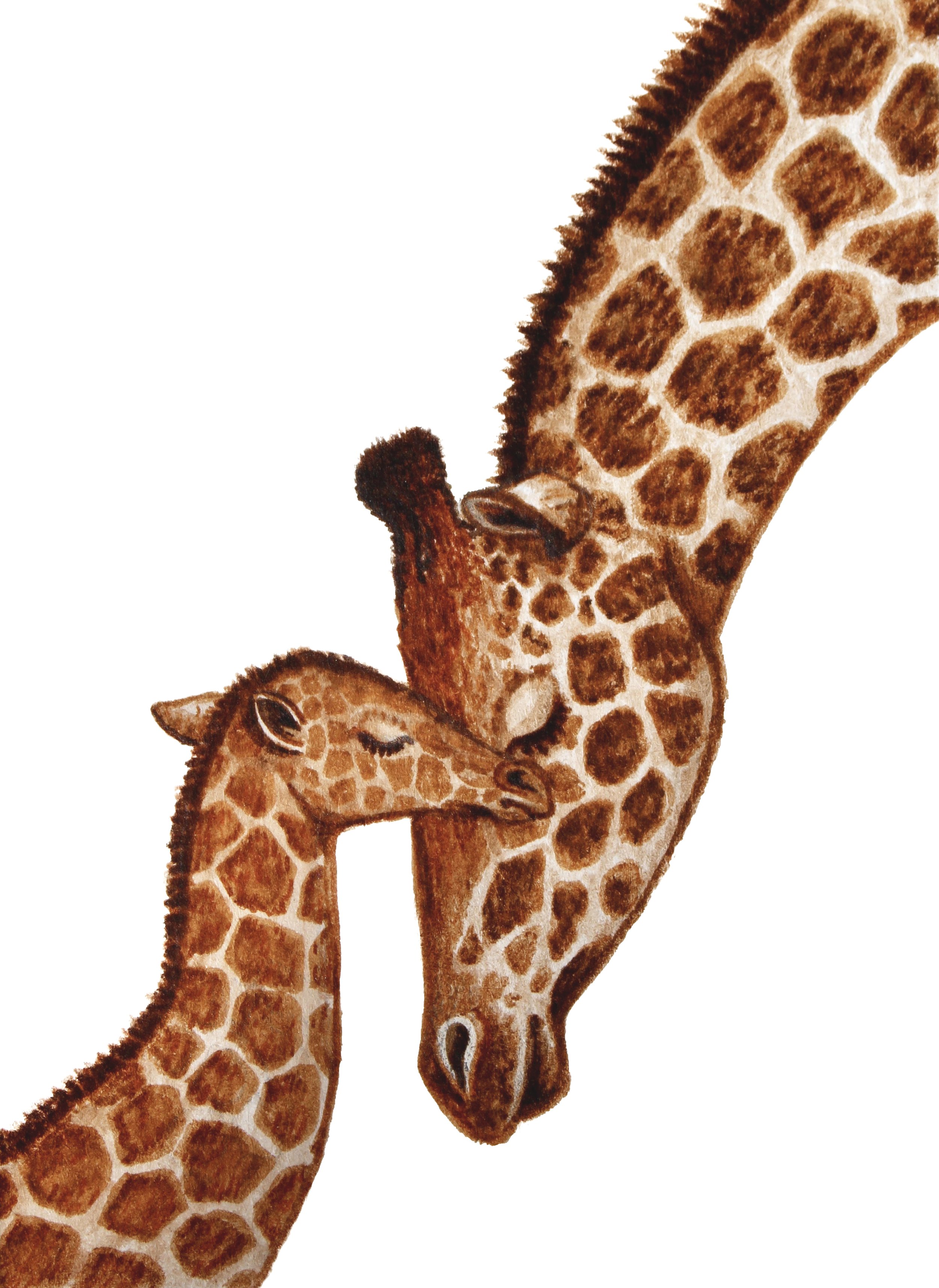 GiraffeMomBaby.jpg
