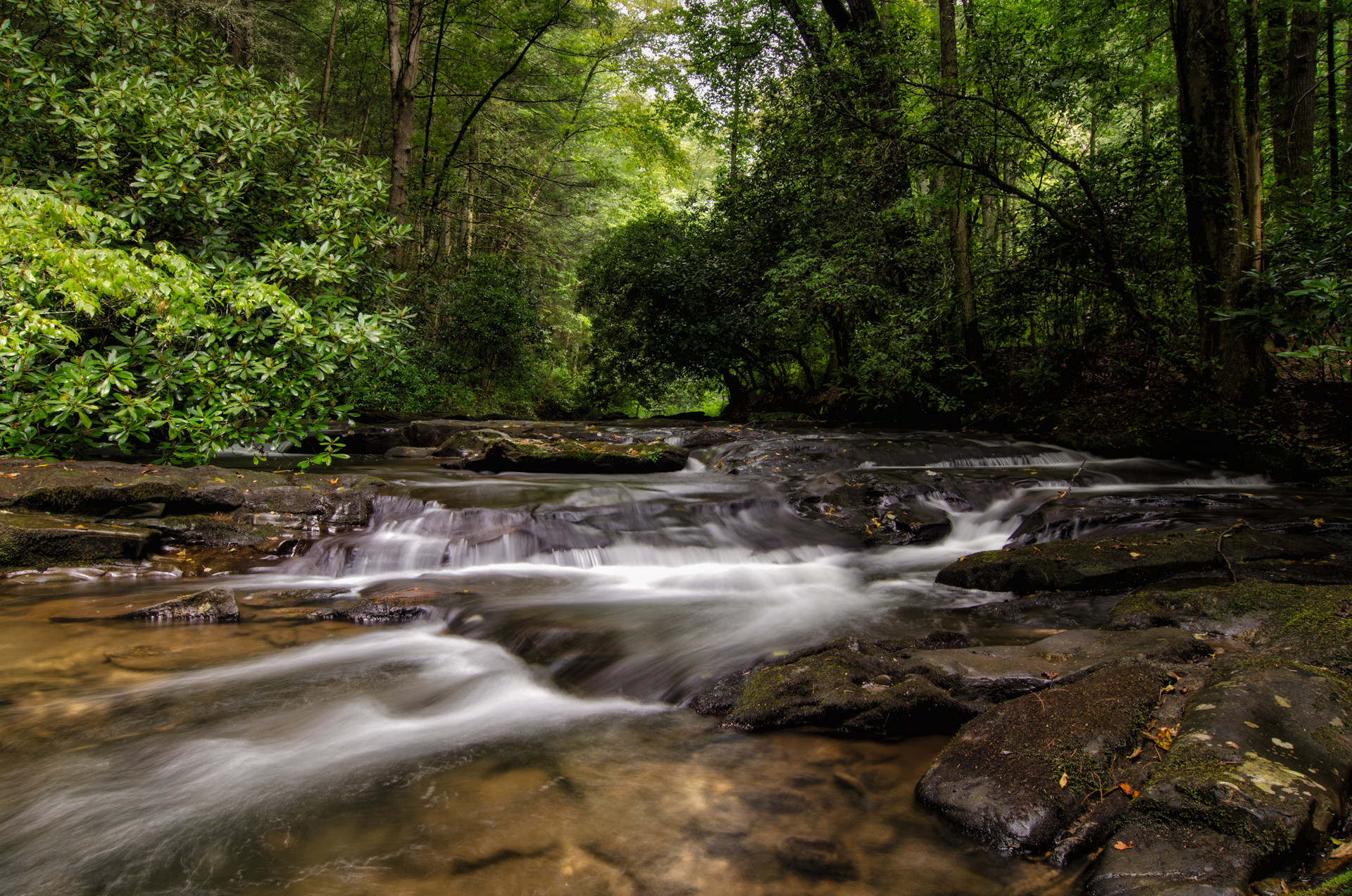 Cannon-Falls-Nikon-5086.jpeg